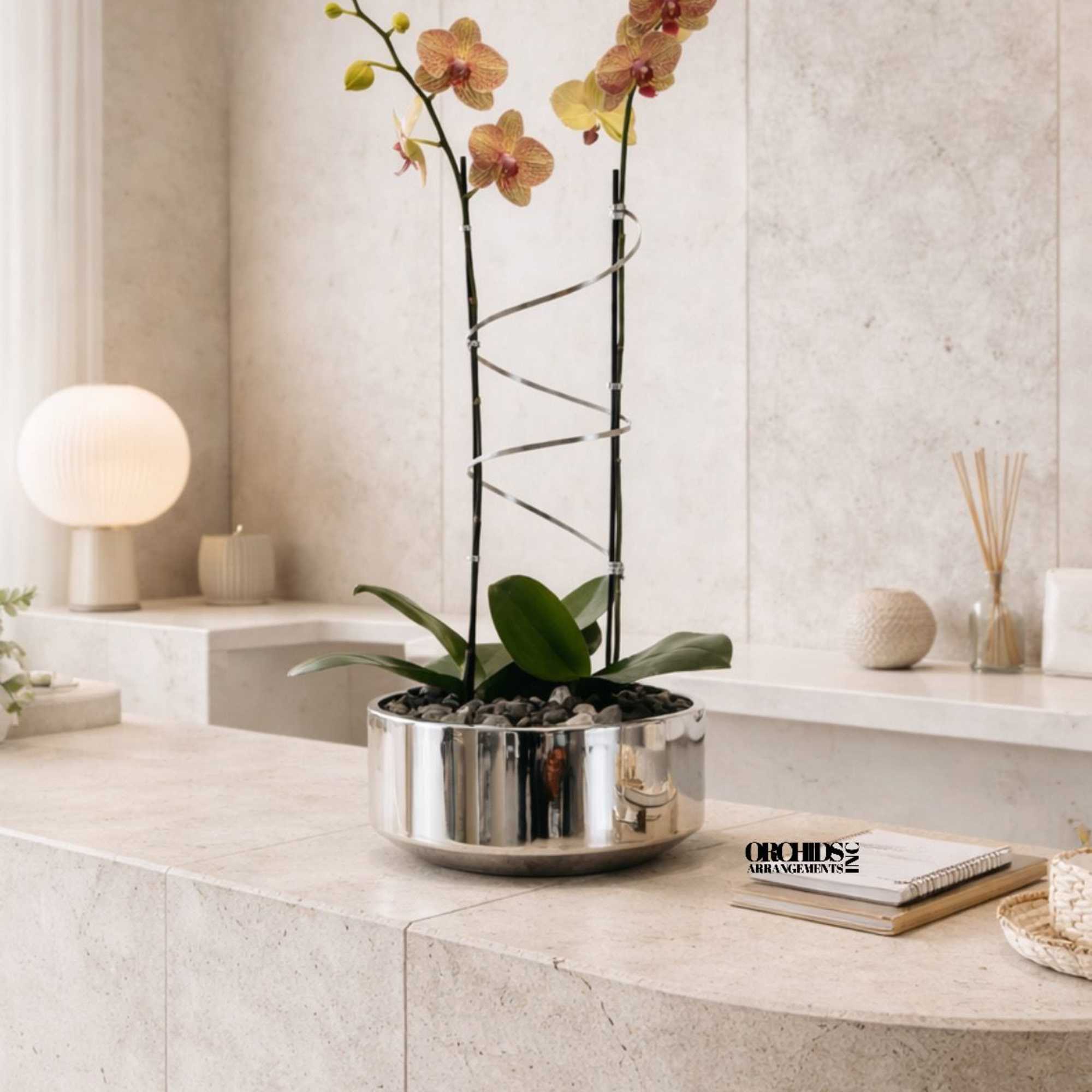 Two orchid stems in a shiny silver bowl planter