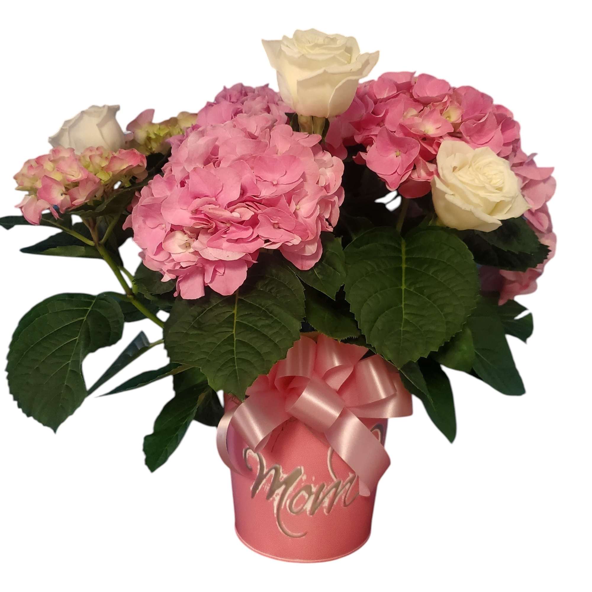A beautiful Hydrangea plant is perfect for every occasion, but this one