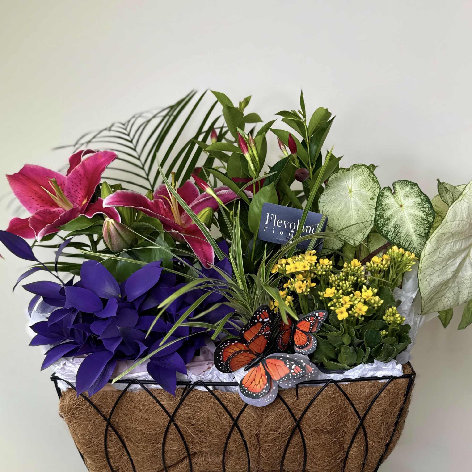 Not flowers

something that stays
something that grows

this design features a curated selection of