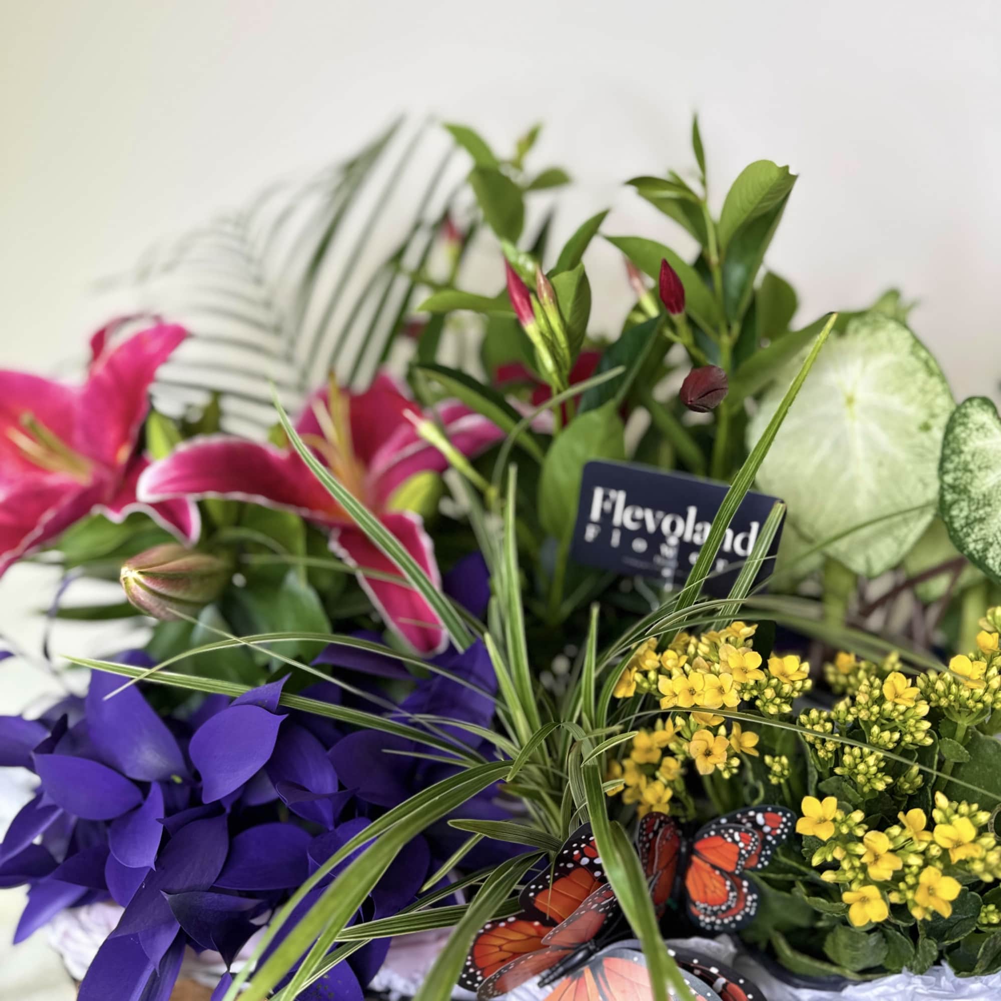 Not flowers

something that stays
something that grows

this design features a curated selection of