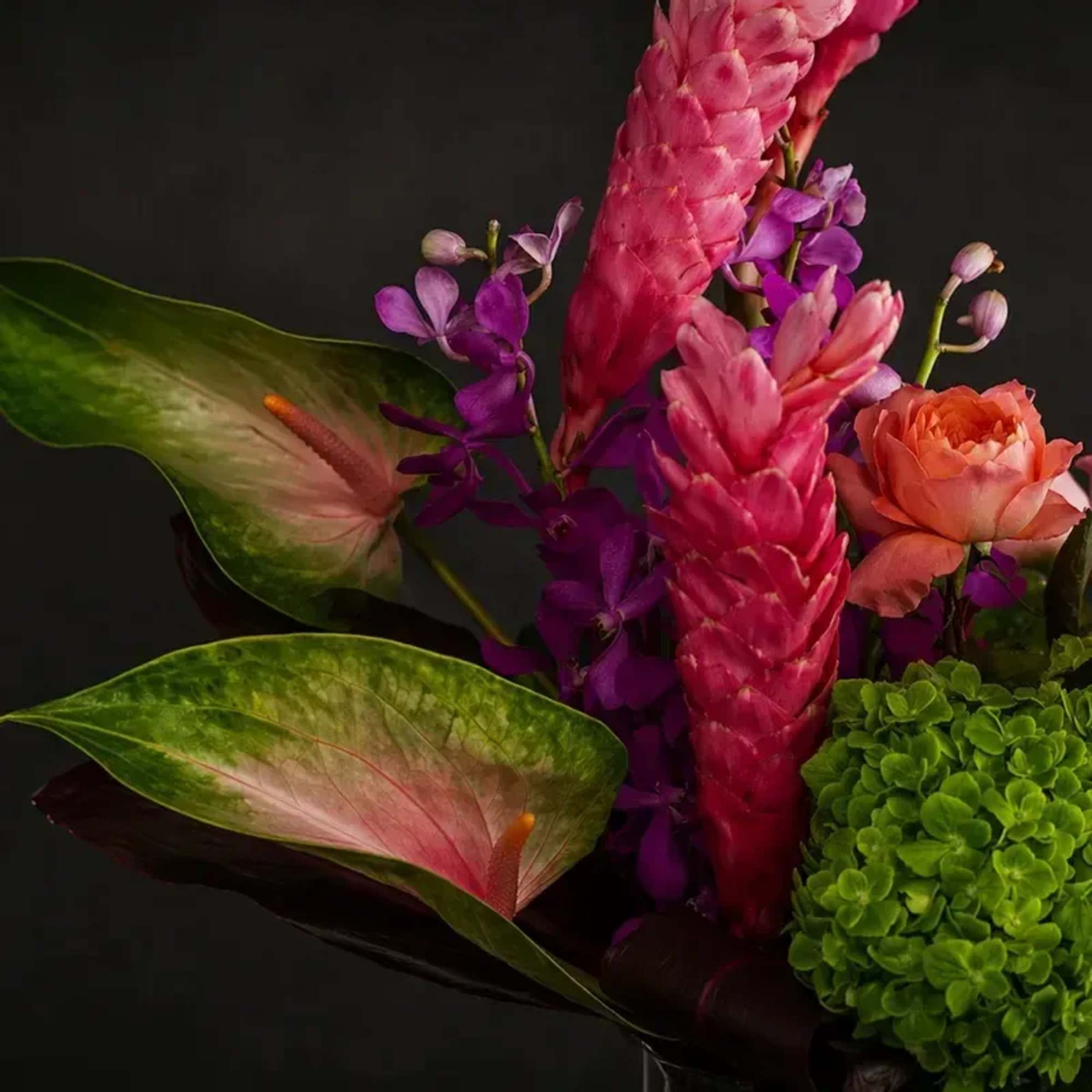A bold and contemporary design featuring striking lines and vibrant tropical textures.