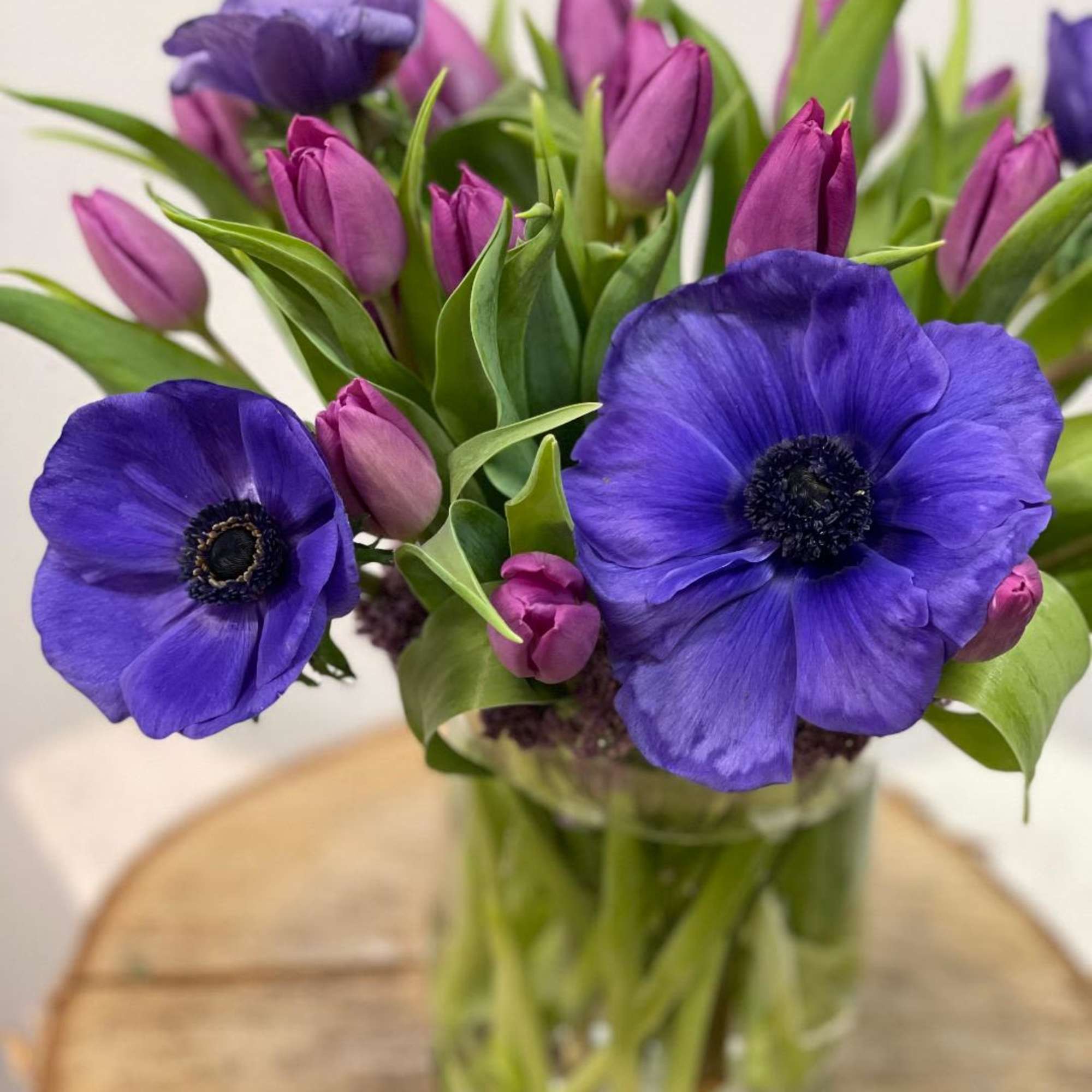 Purple anemones and pink tulips in a clear glass vase