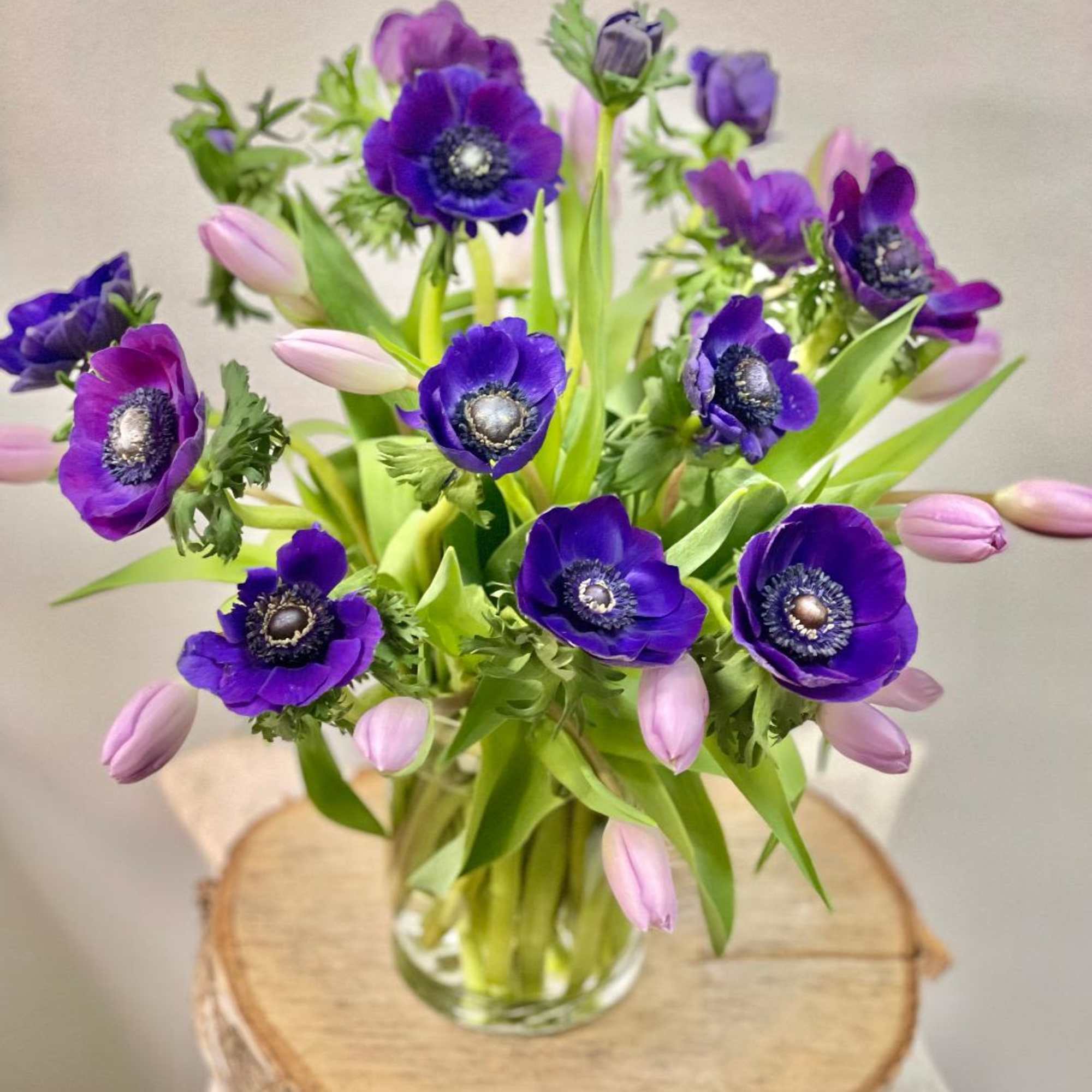 Purple anemones and pink tulips in a clear glass vase