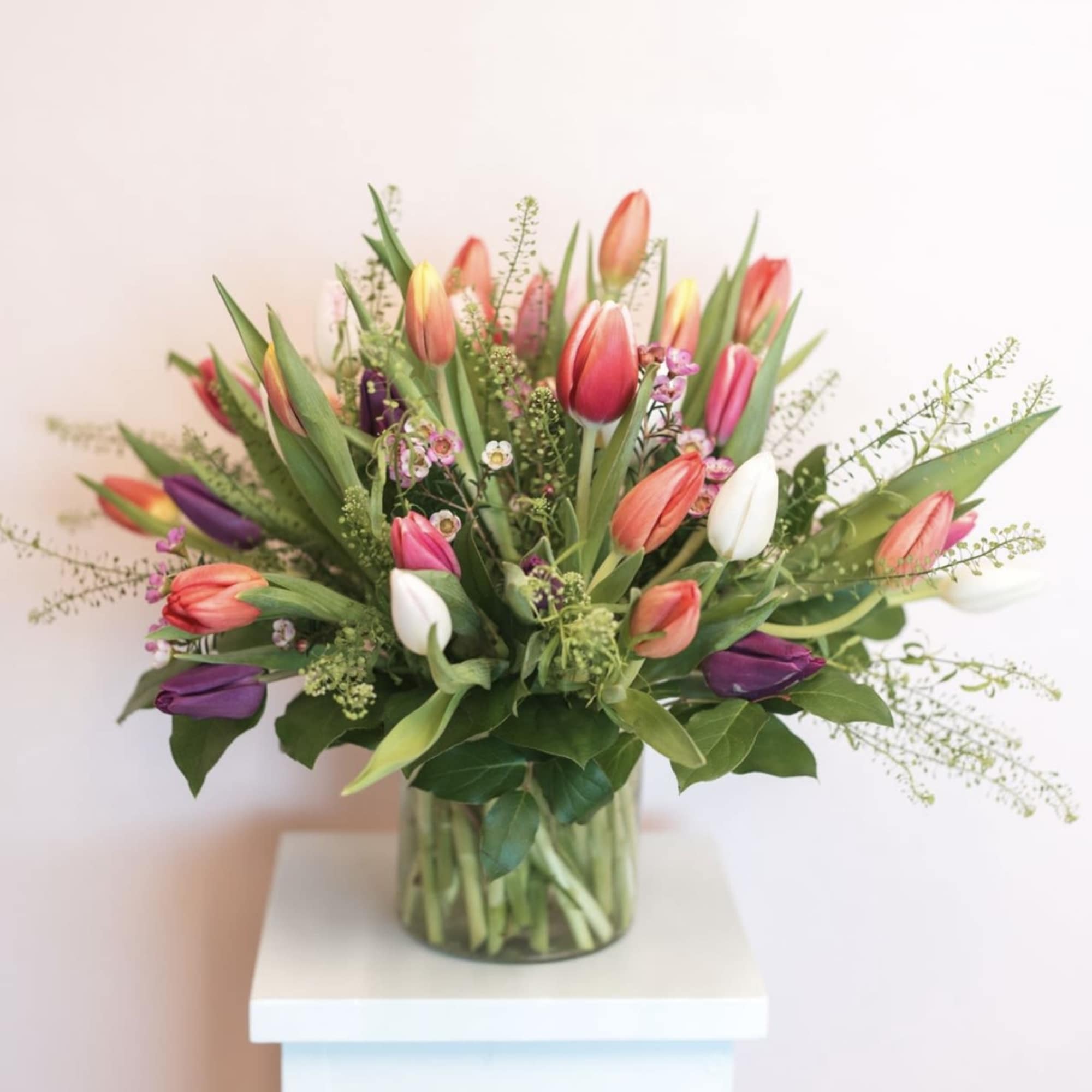 A lively cluster of multicolored tulips creates an immediate fresh-spring impression-the perfect