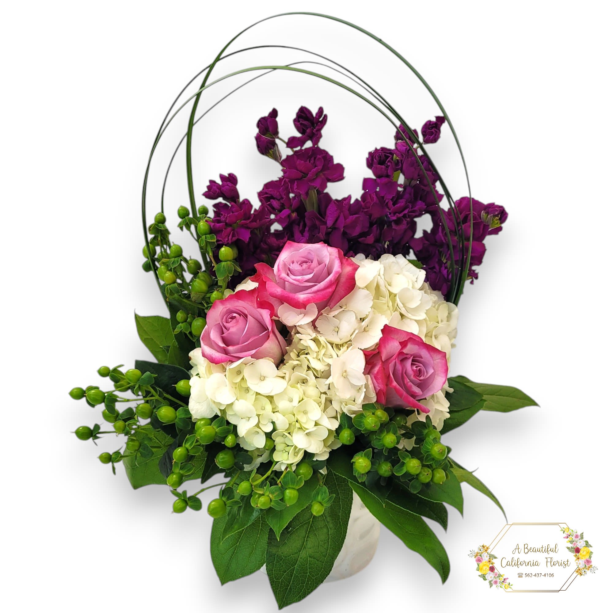 Bailey Boo, Lavender Roses and White Hydrangea, accented by green coffee bean