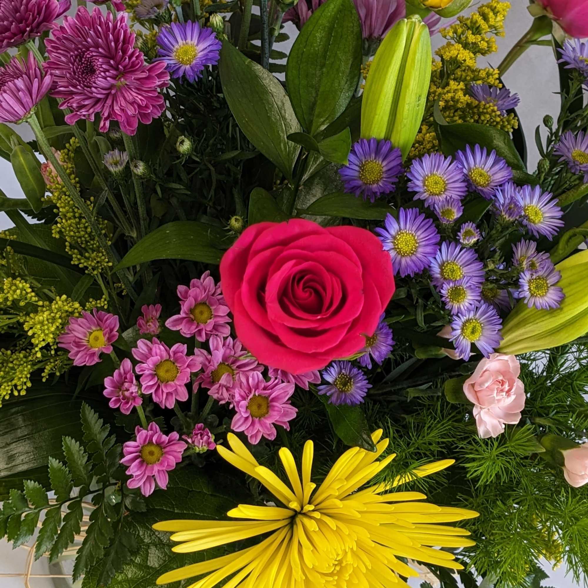 Softly radiant and full of meaning, Kind Patience is a Mother&rsquo;s Day