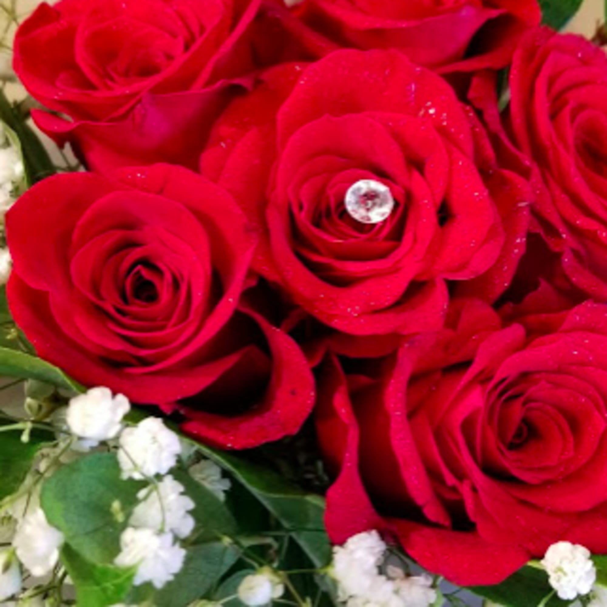Bouquet of red roses with white baby's breath
