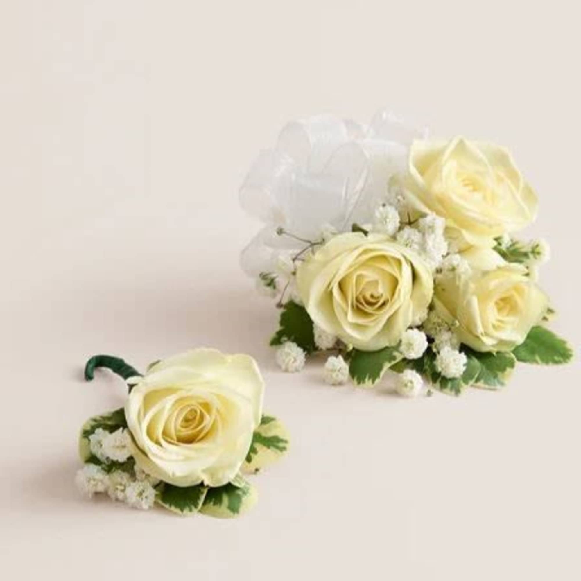  Pet Friendly?
NO . Baby&rsquo;s breath can cause mild stomach upset for