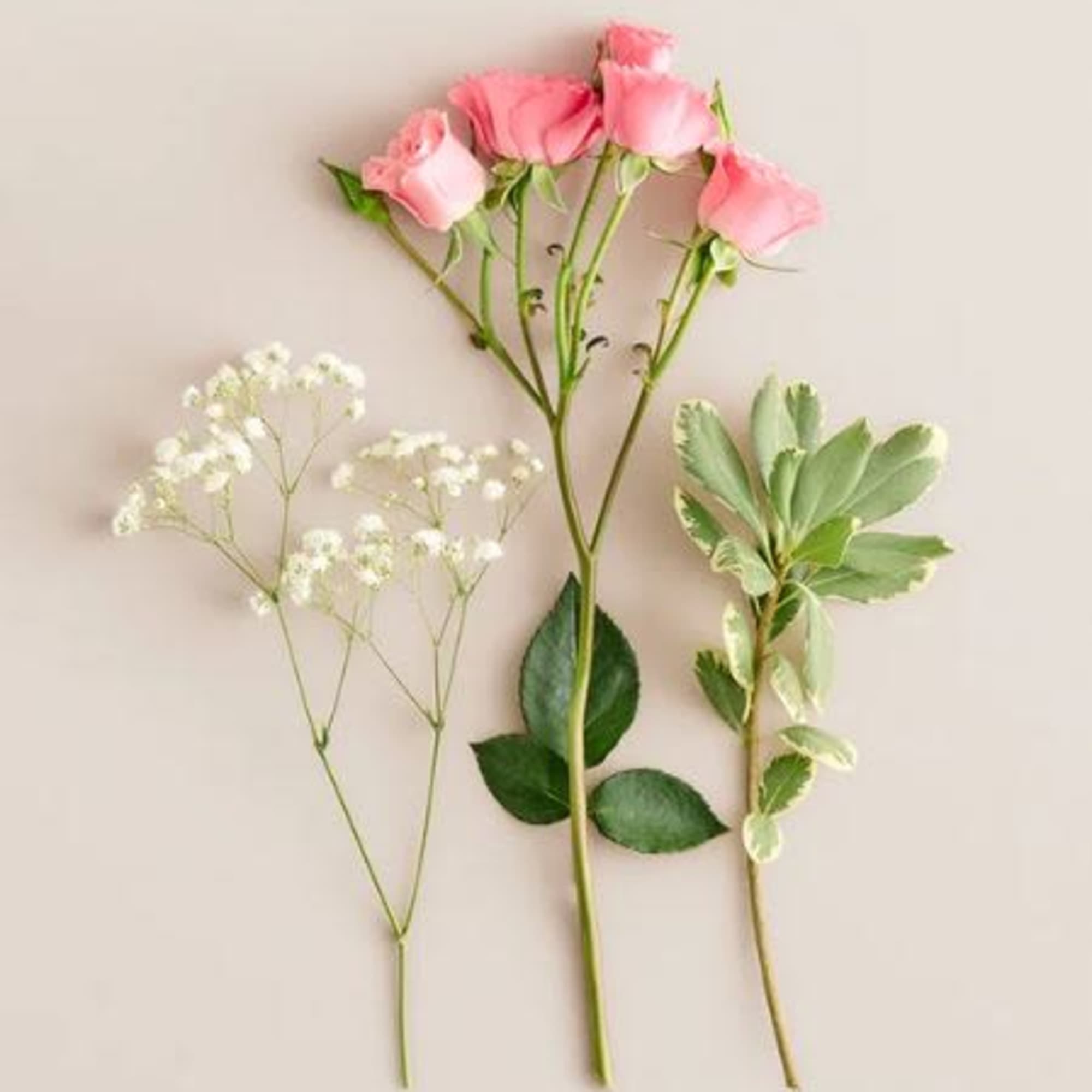  Pet Friendly?
NO . This corsage includes baby&rsquo;s breath, which is listed
