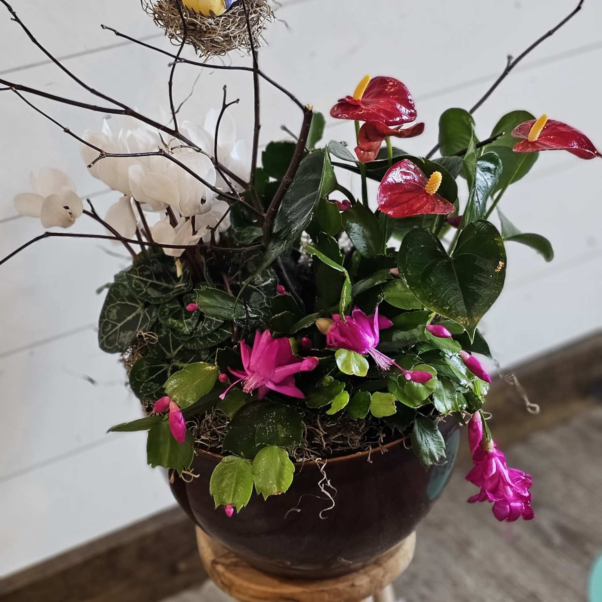 Potted floral arrangement with red anthuriums, pink blooms, and white flowers