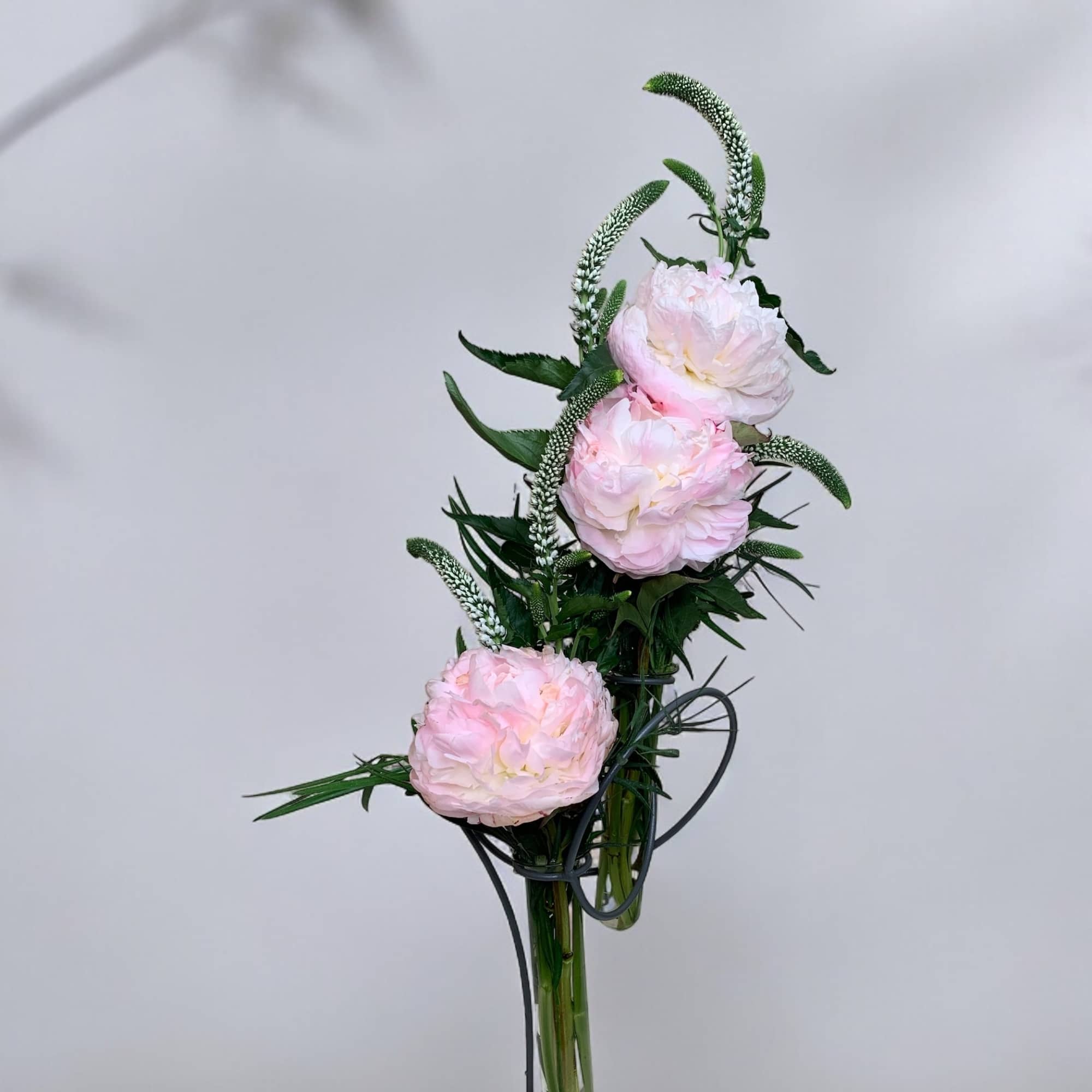 Peonies are a guaranteed hit. Simple, elegant and fabulous! This keepsake vase