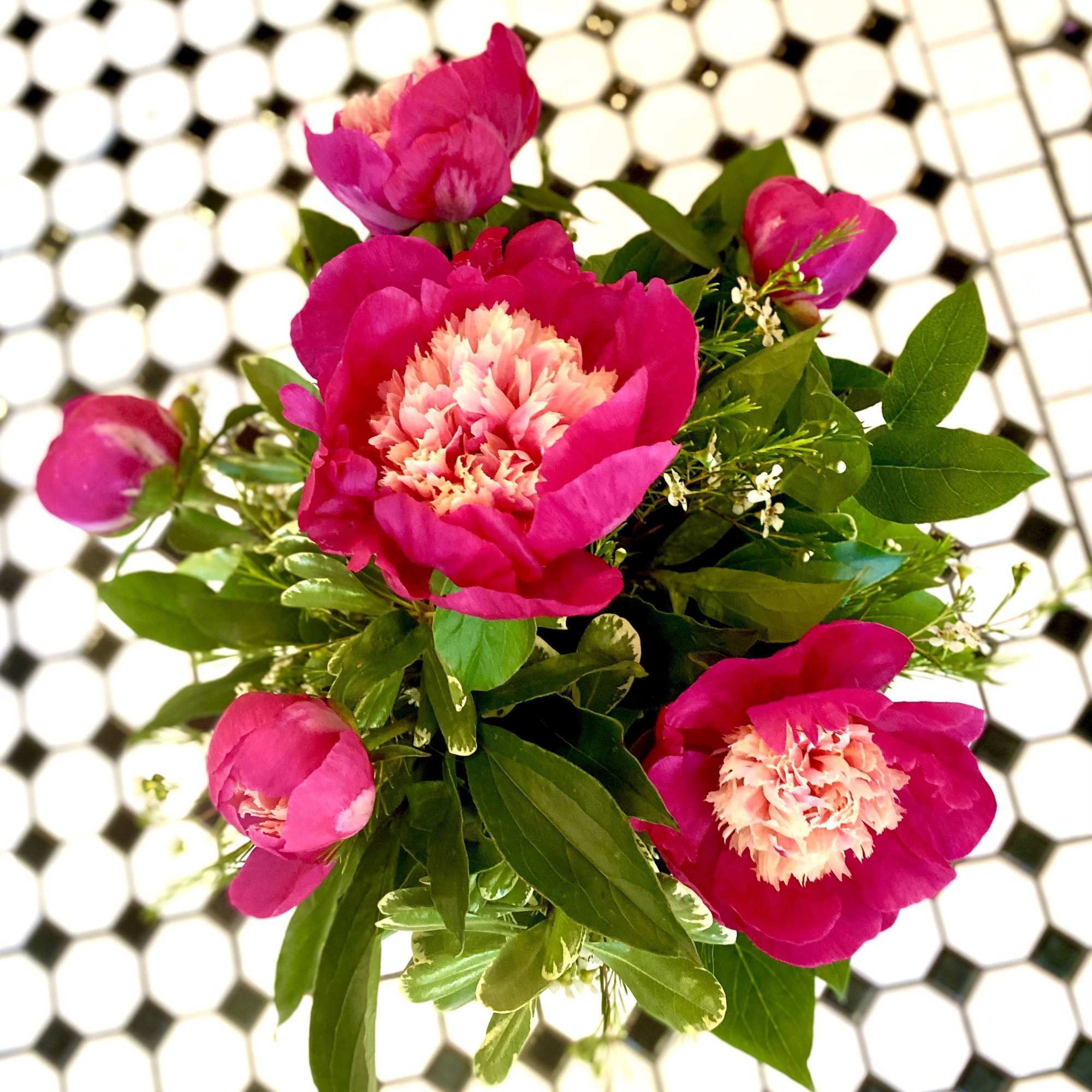 Pink peony bouquet with green foliage on a tiled surface