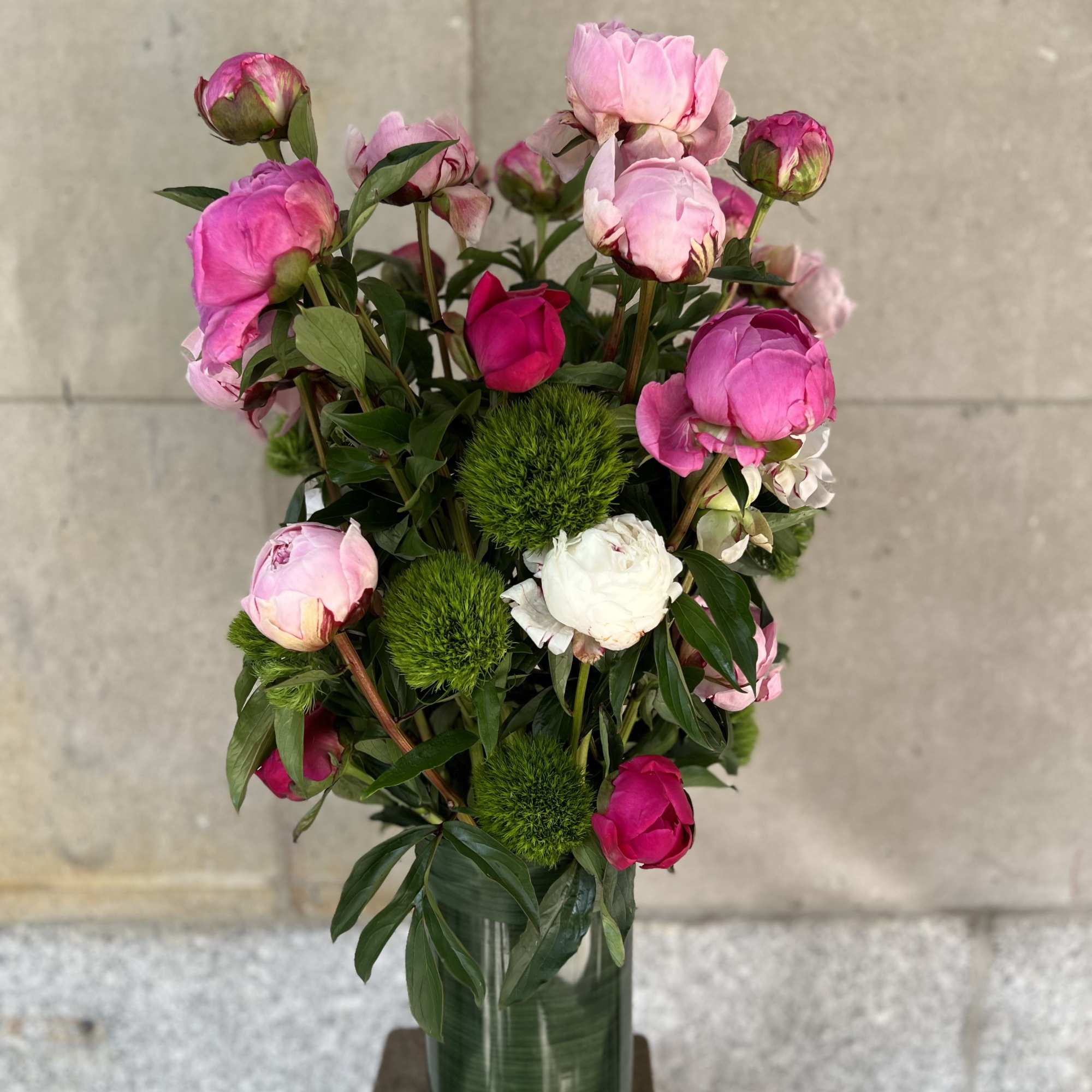 Peonies and green trick sweet William  arranged in a glass cylinder.