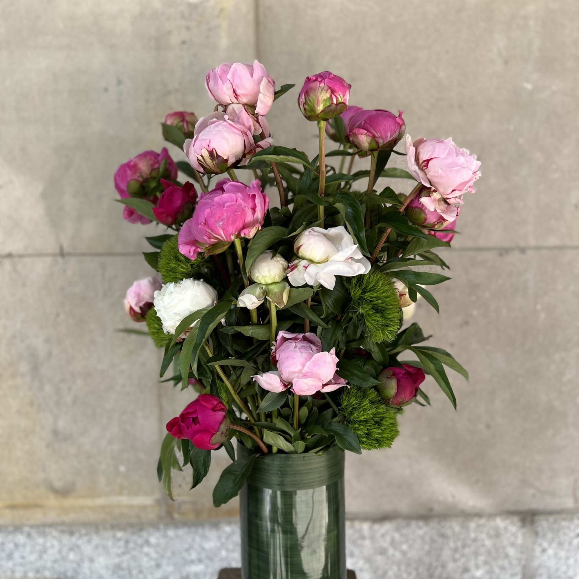 Peonies and green trick sweet William  arranged in a glass cylinder.
