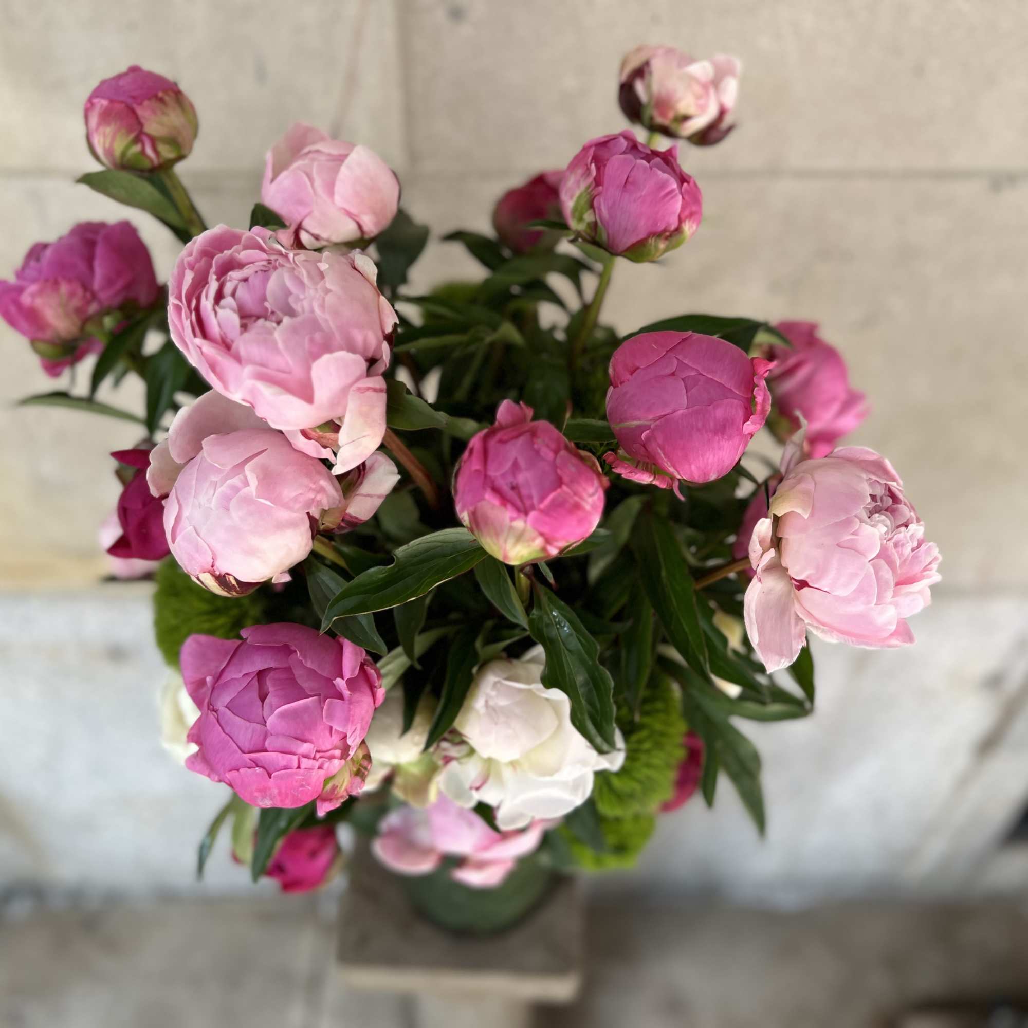 Peonies and green trick sweet William  arranged in a glass cylinder.