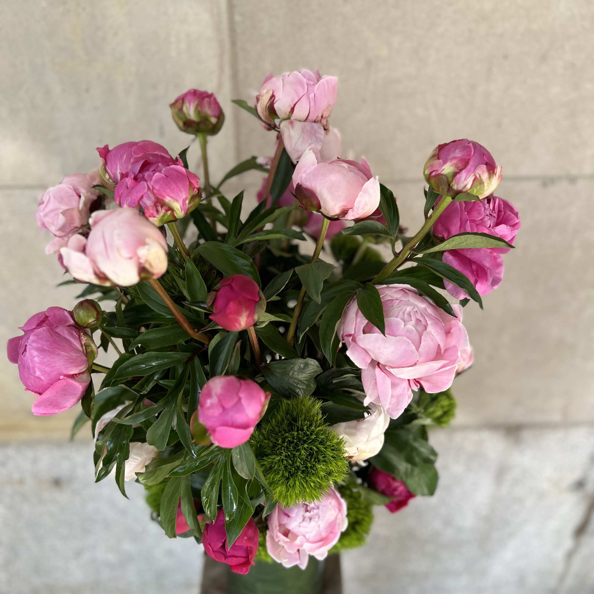 Peonies and green trick sweet William  arranged in a glass cylinder.