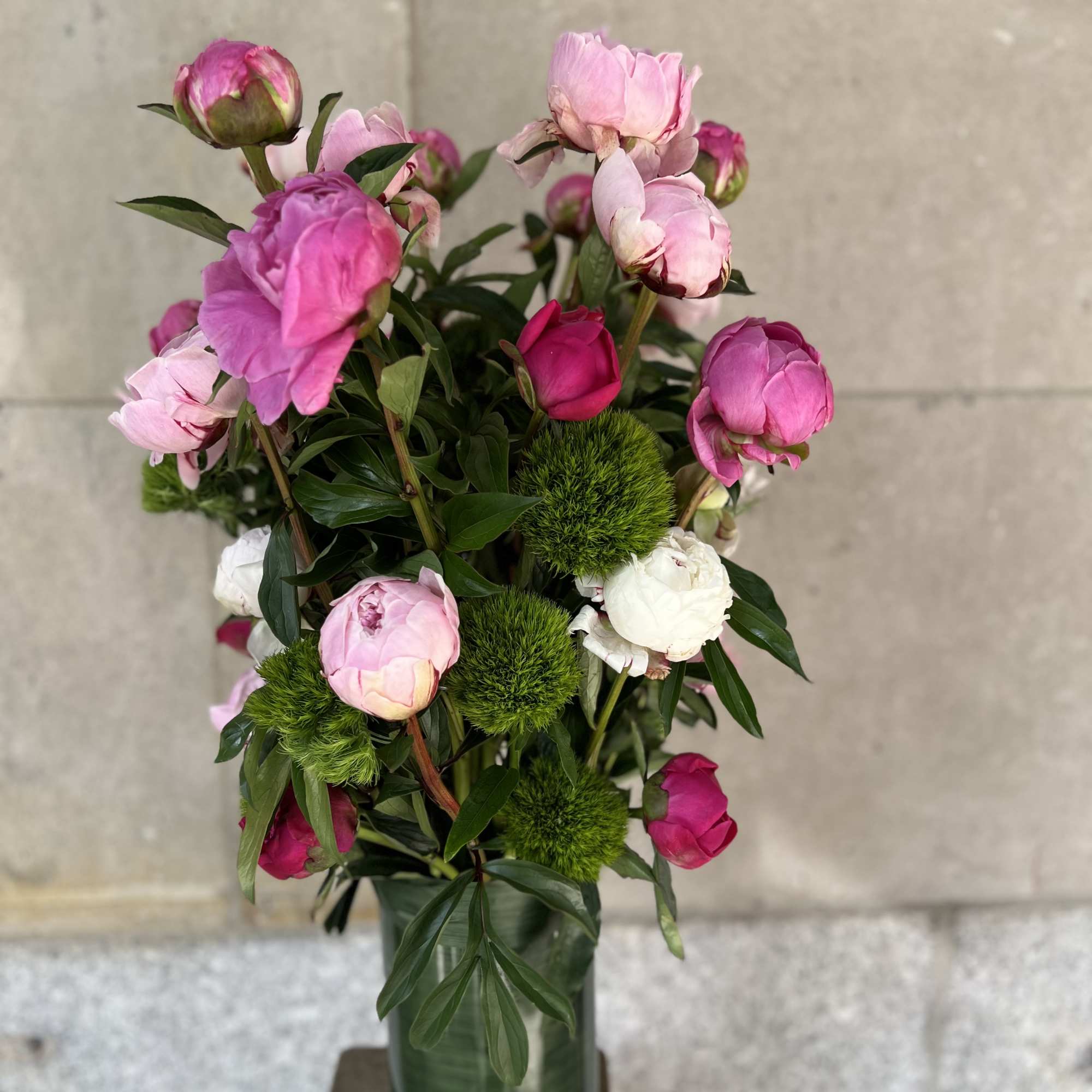 Peonies and green trick sweet William  arranged in a glass cylinder.