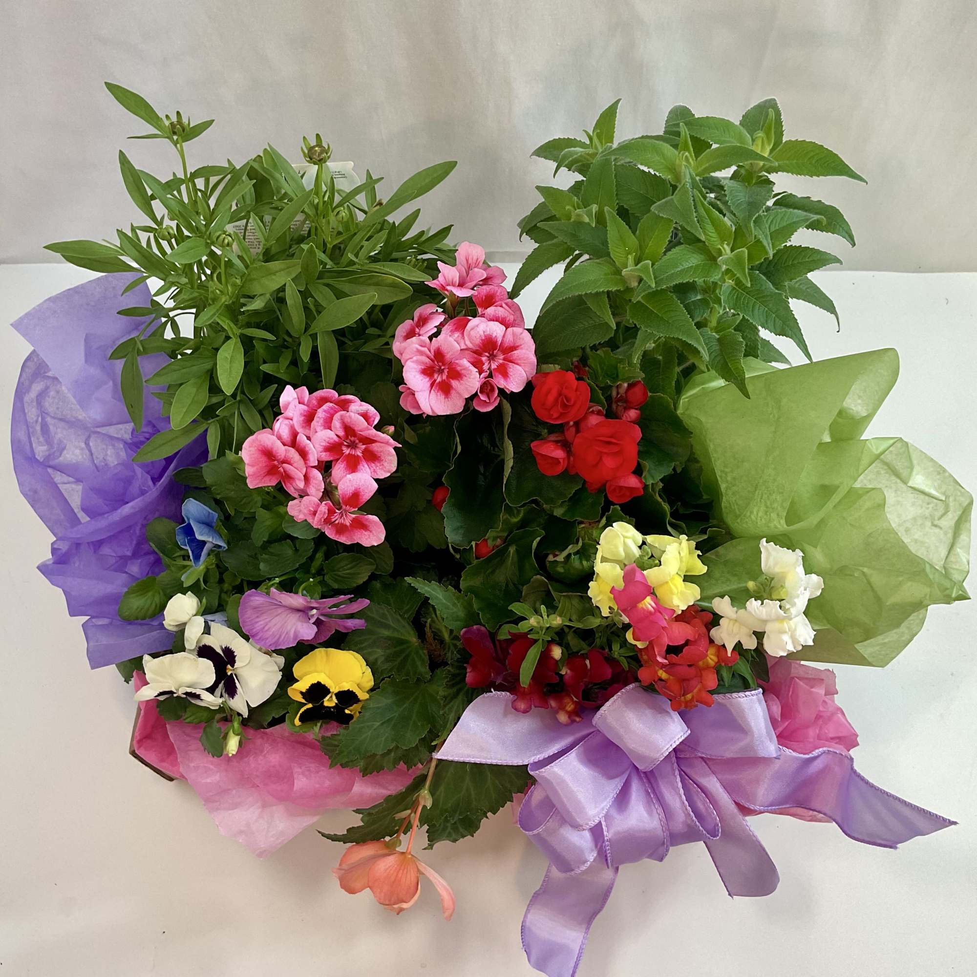 Colorful potted flower arrangement with pink, red, yellow, and white blooms