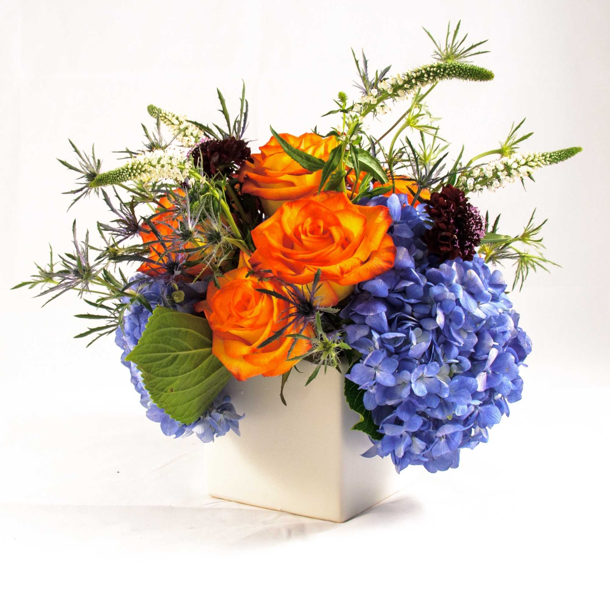 Orange roses and blue hydrangeas in a white square vase