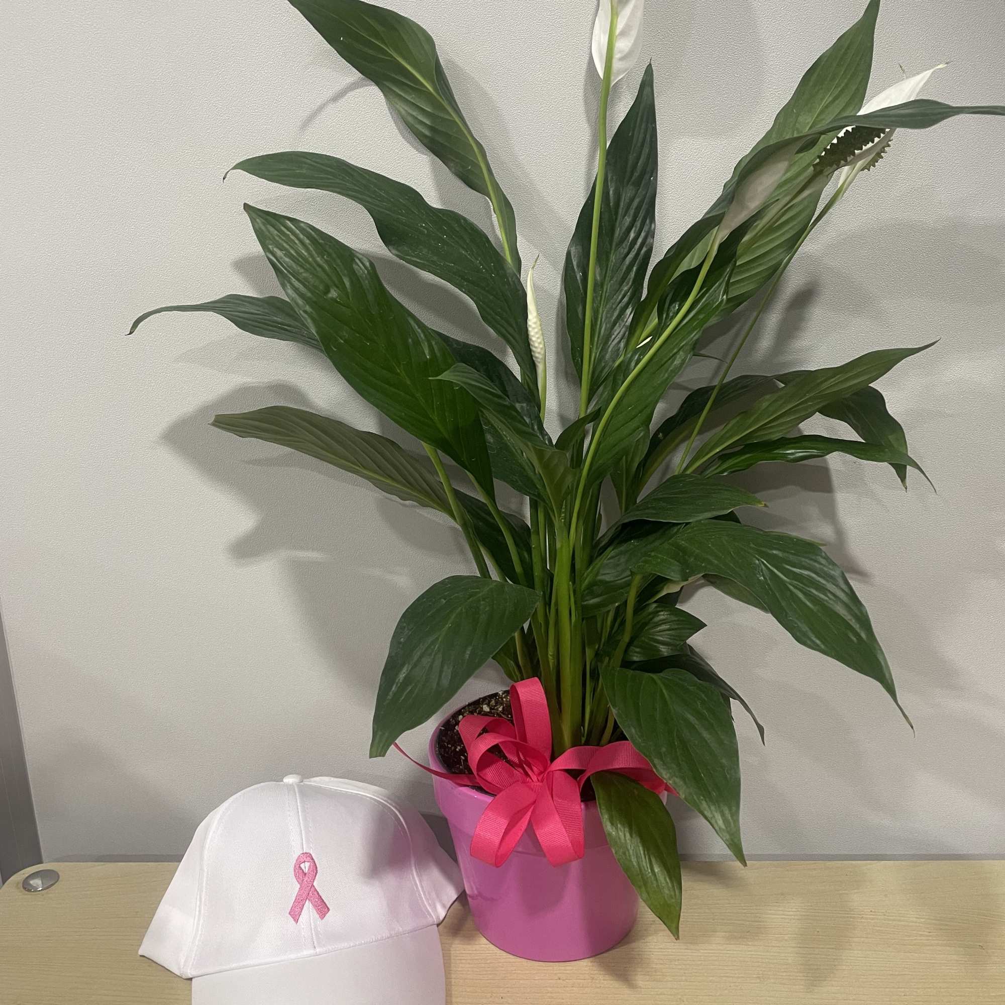 Potted peace lily with white blooms and a pink ribbon beside a white cap