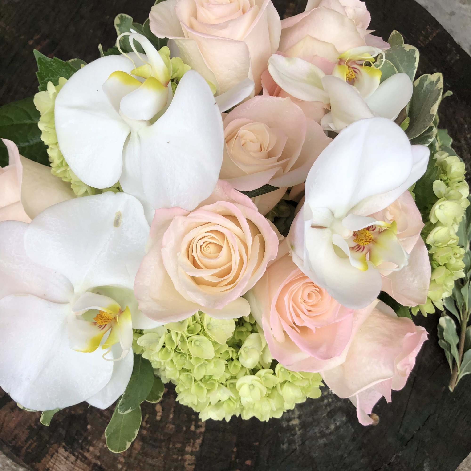 Half a dozen (Standard) beautiful light pink colored Ecuadorian roses, hydrangea, and