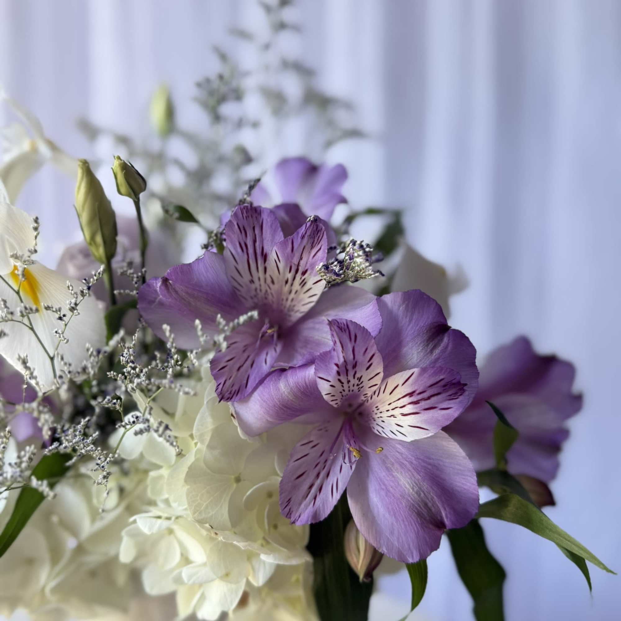 A delicate composition that speaks in soft tones and graceful textures. Lavender