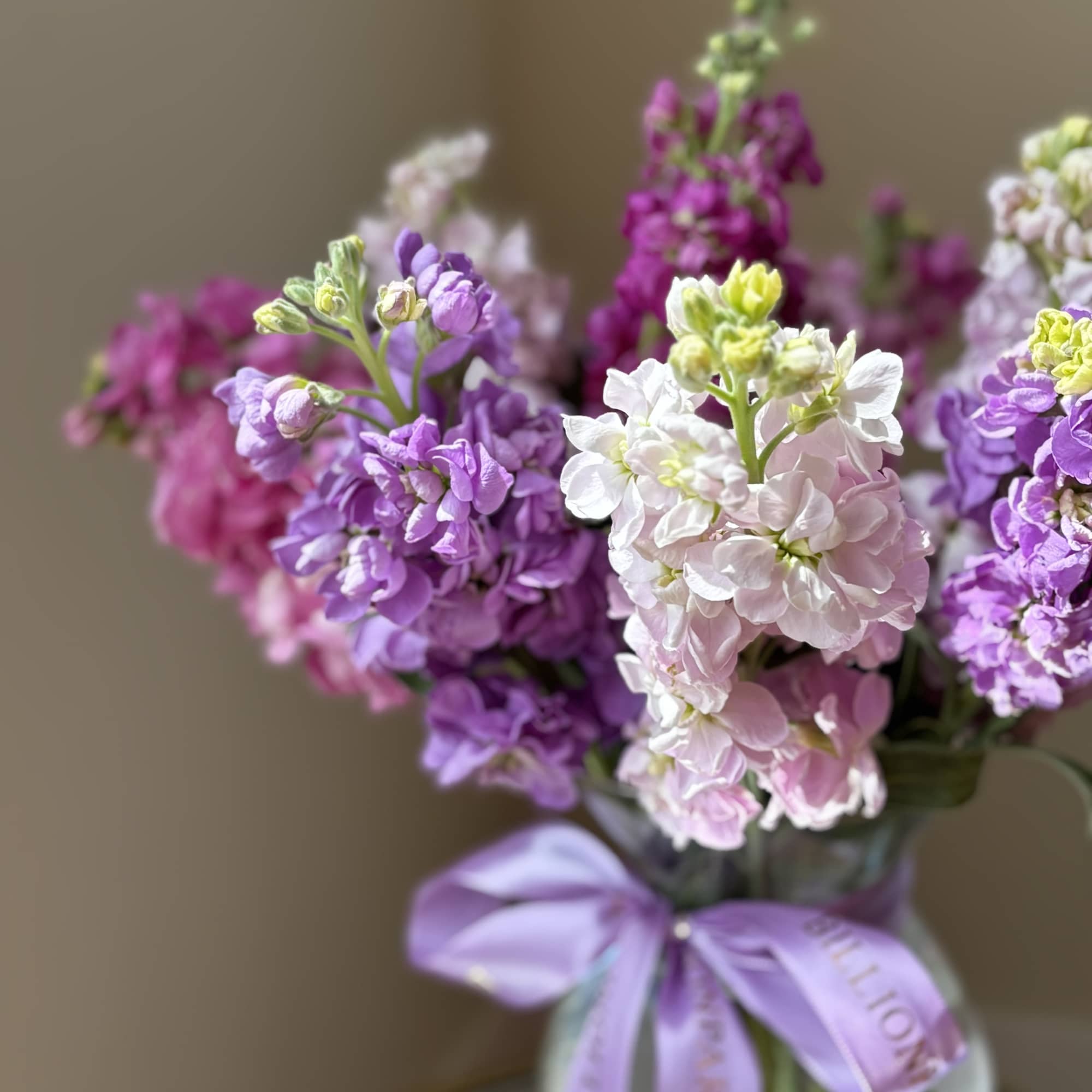 Bouquet of purple and pink stock flowers in a glass vase with a lavender ribbon