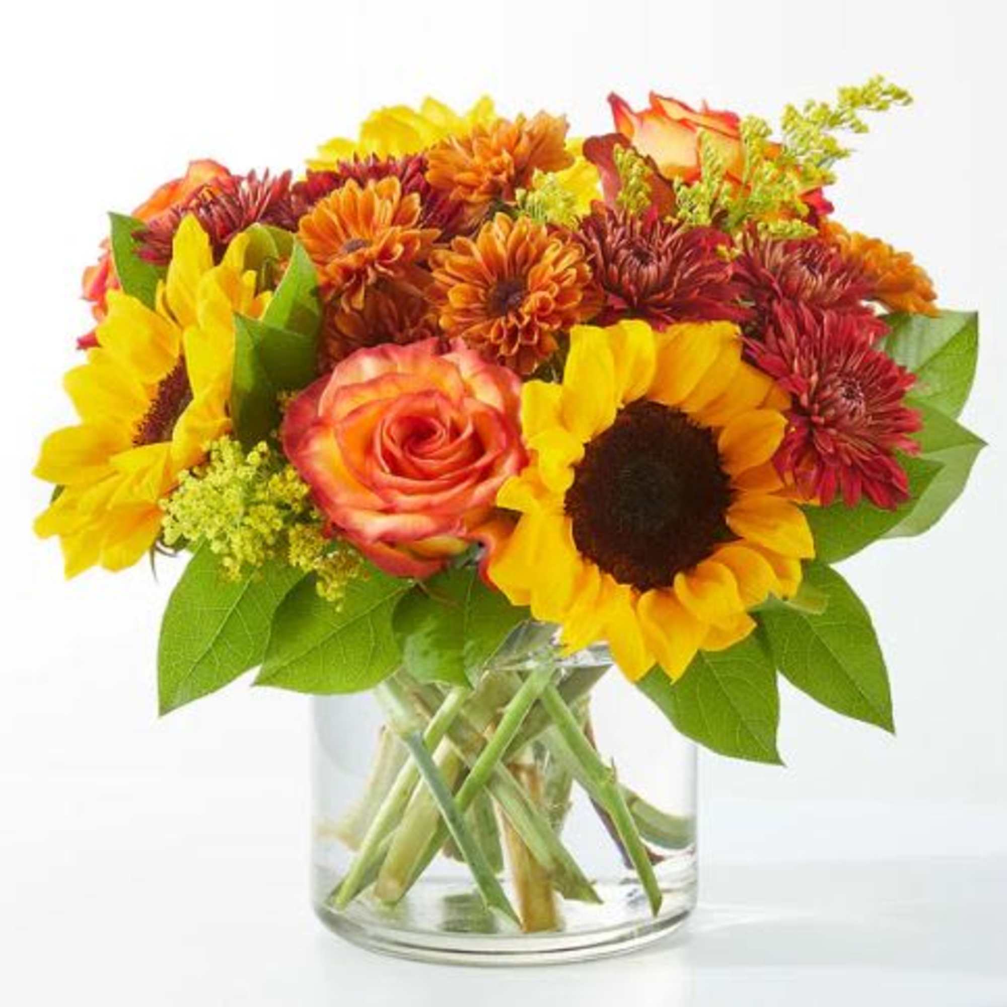  Pet Friendly?
No - This arrangement contains daisies, which are known to