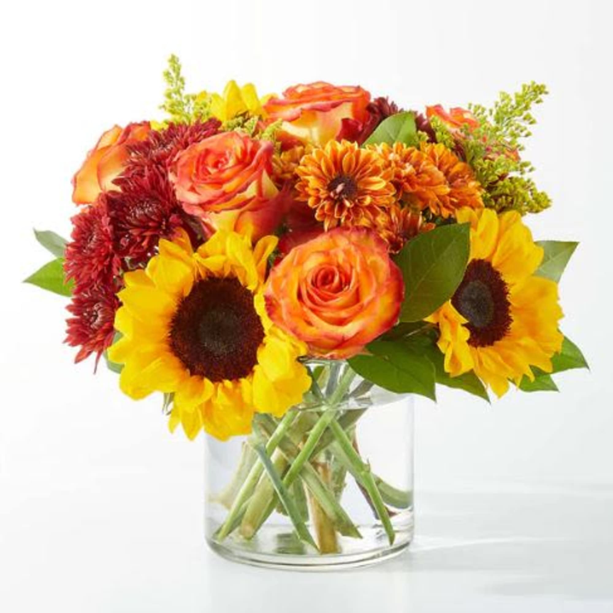  Pet Friendly?
No - This arrangement contains daisies, which are known to
