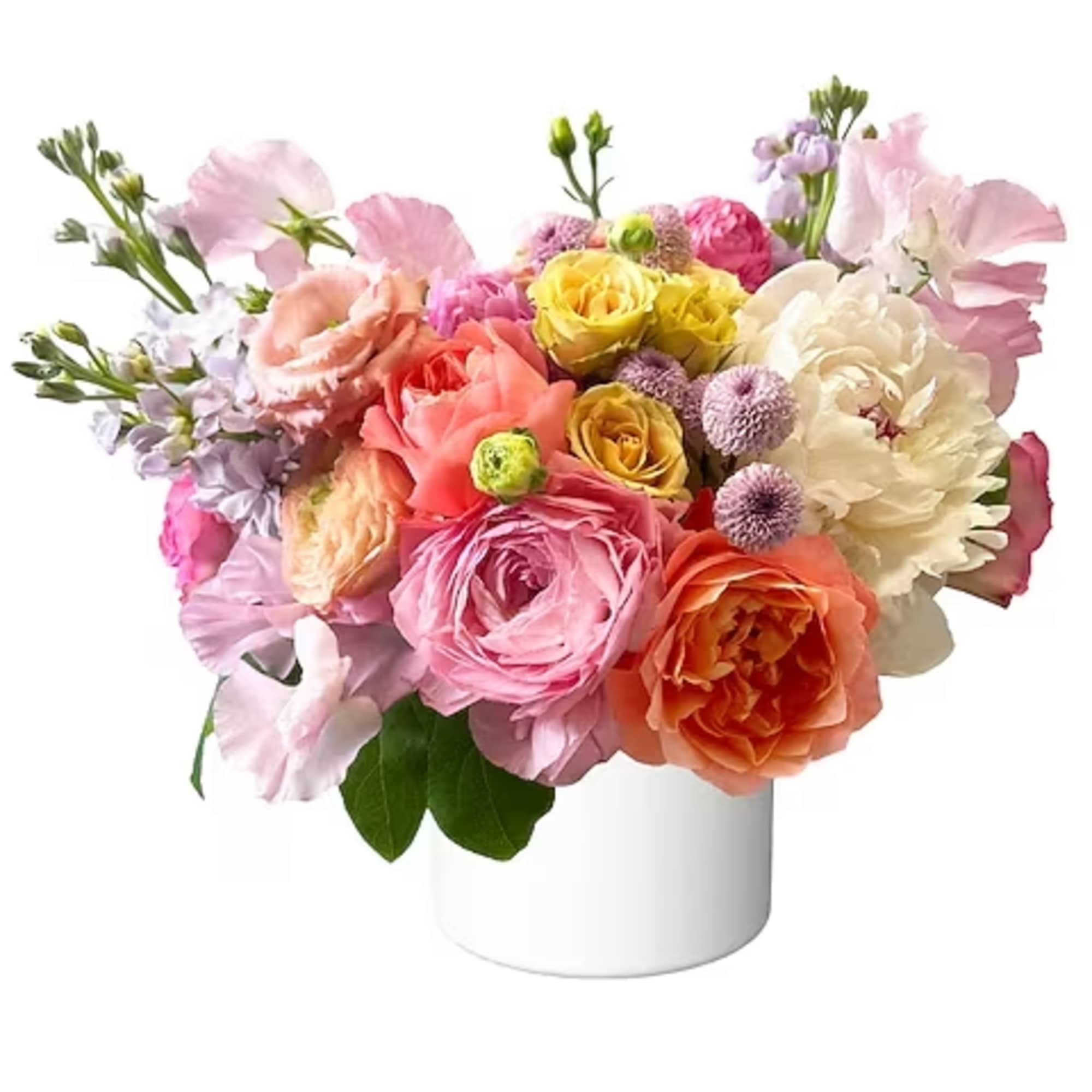 Sugar Bloom is a sweetly sophisticated arrangement that feels like a confection
