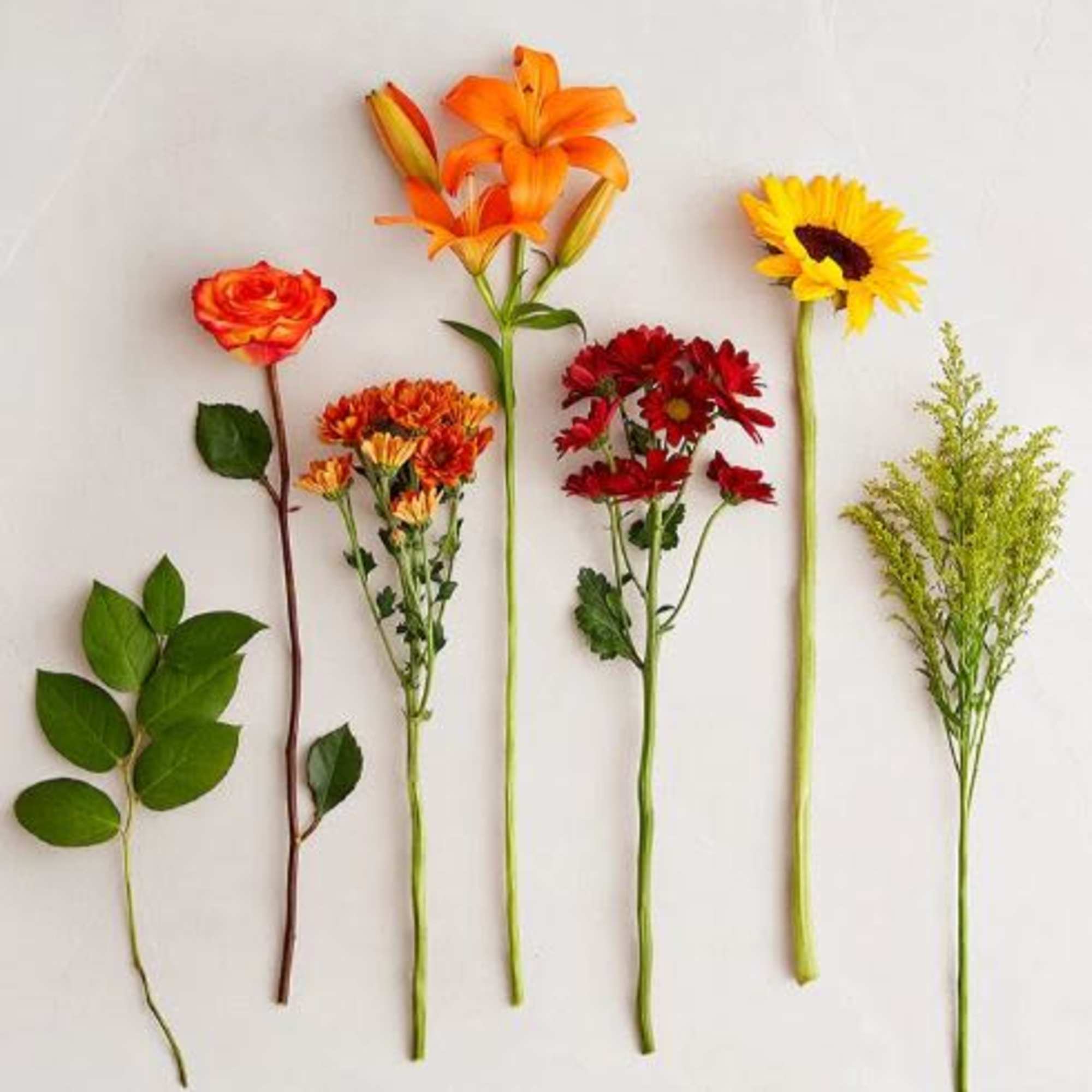   Pet Friendly?
No. Asiatic lilies and daisy poms can be toxic
