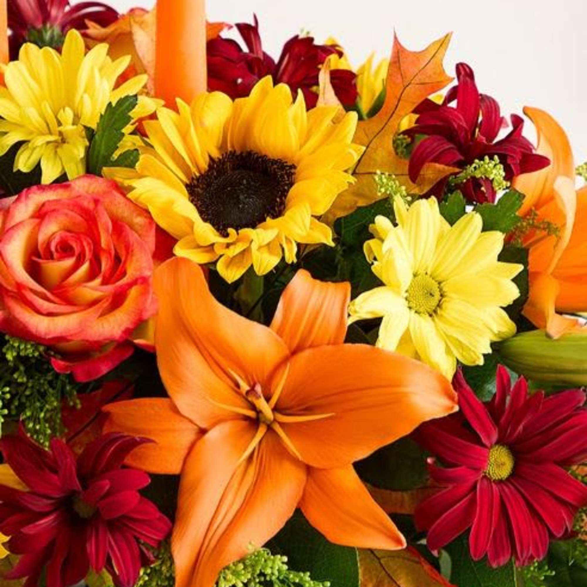  Pet Friendly?
No - Asiatic lilies and chrysanthemums can be toxic to