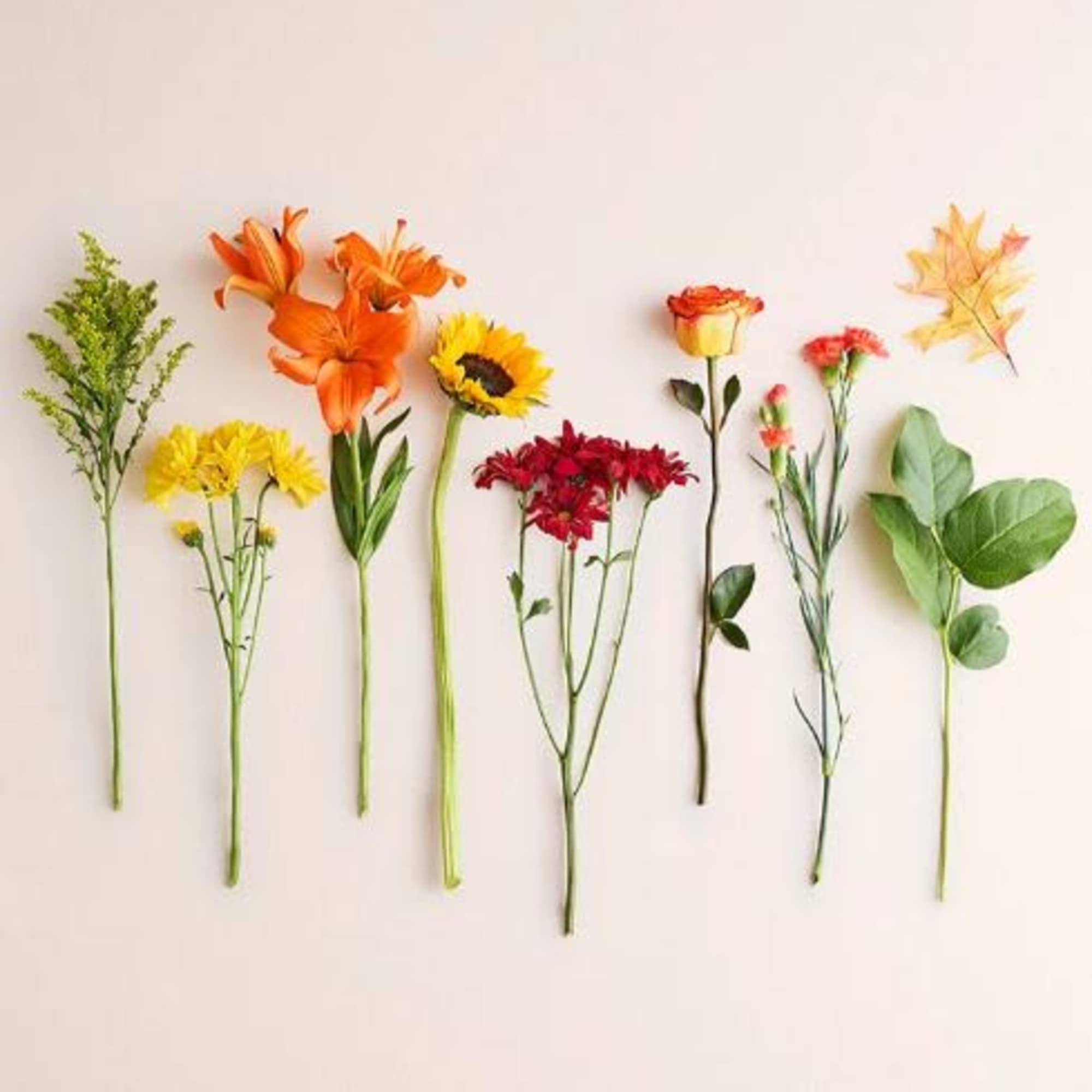  Pet Friendly?
No - Asiatic lilies and chrysanthemums can be toxic to