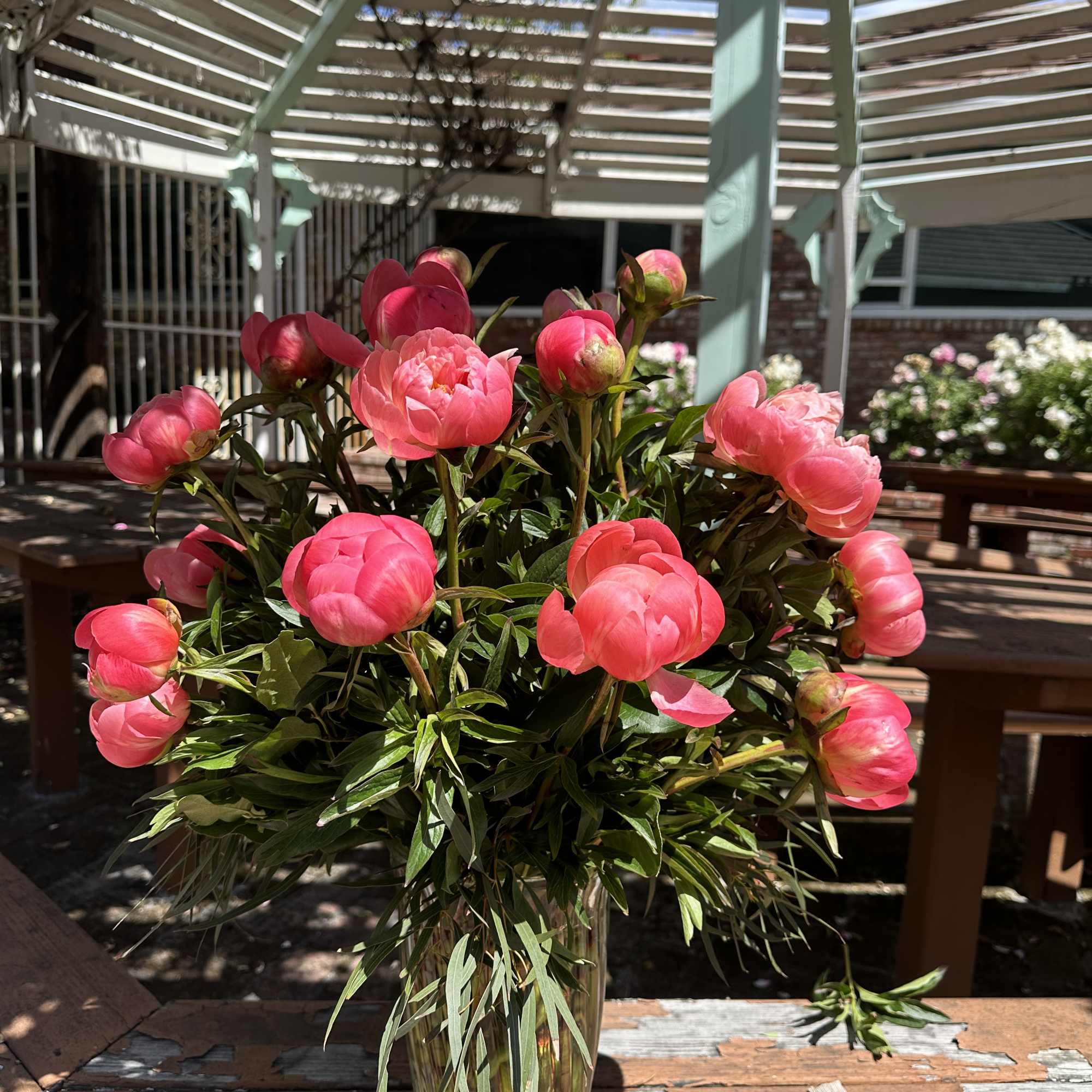 Pink peonies arranged in a clear glass vase