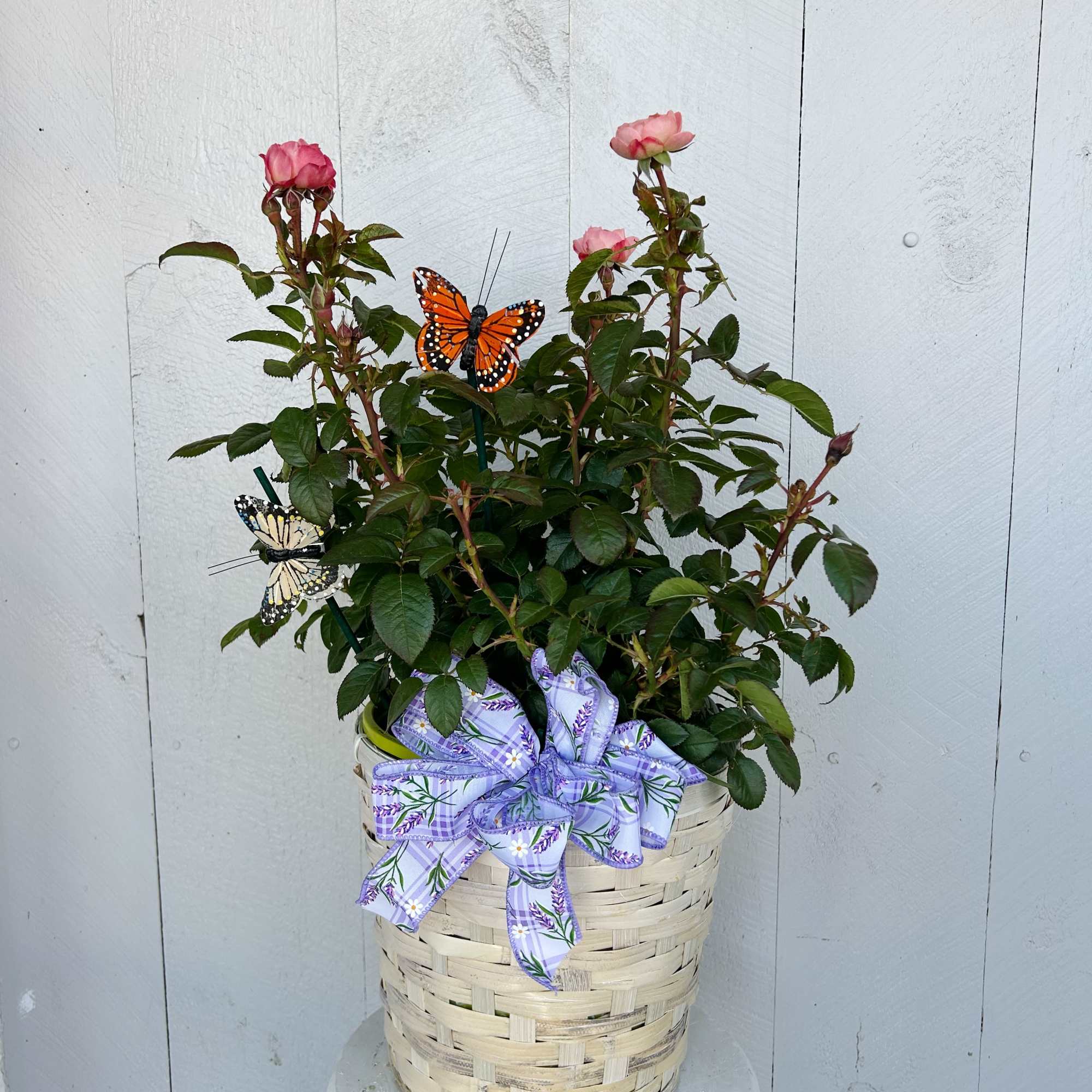 Plant a rose, grow a memory.