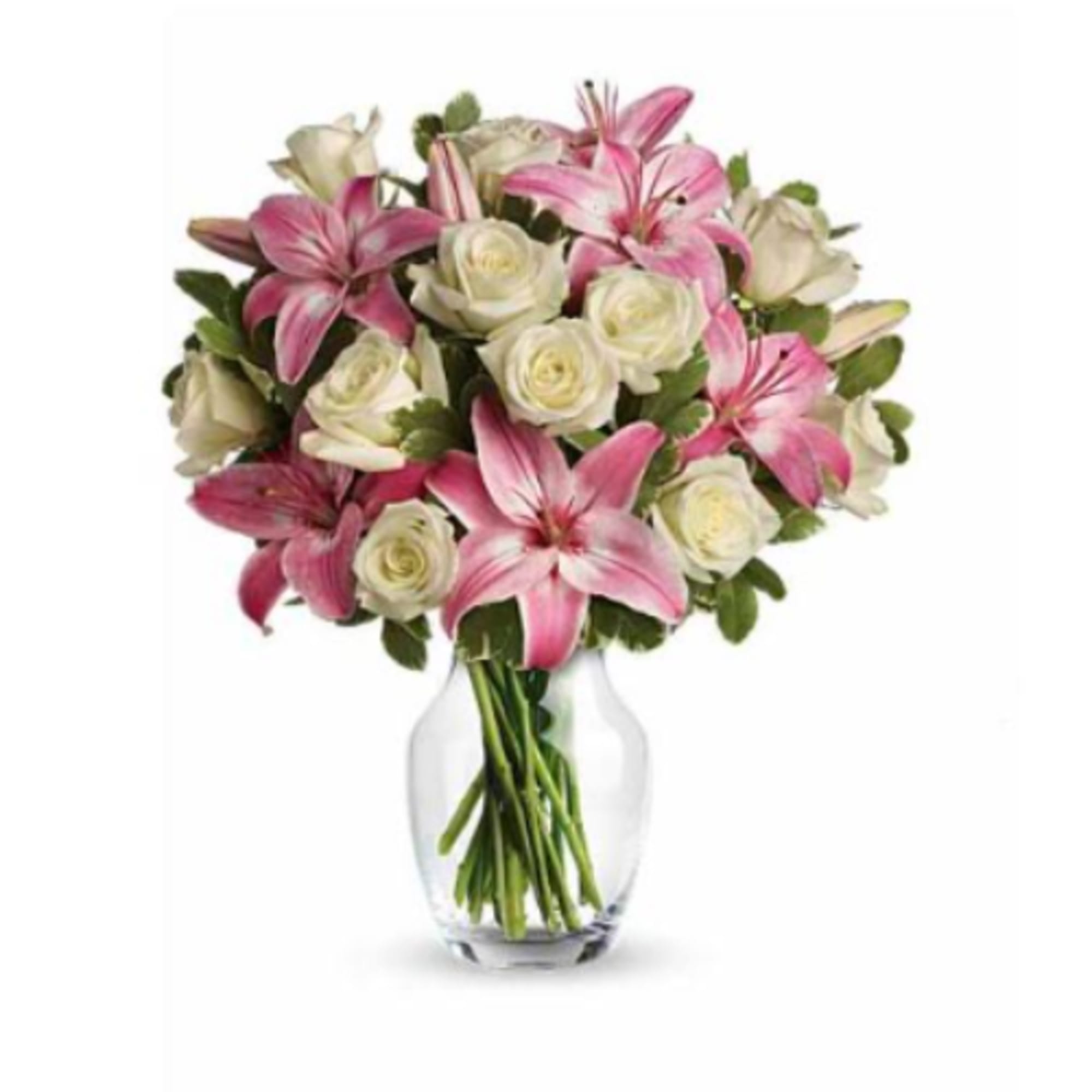  Pet Friendly?
No
Stargazer lilies are toxic to cats and can cause severe