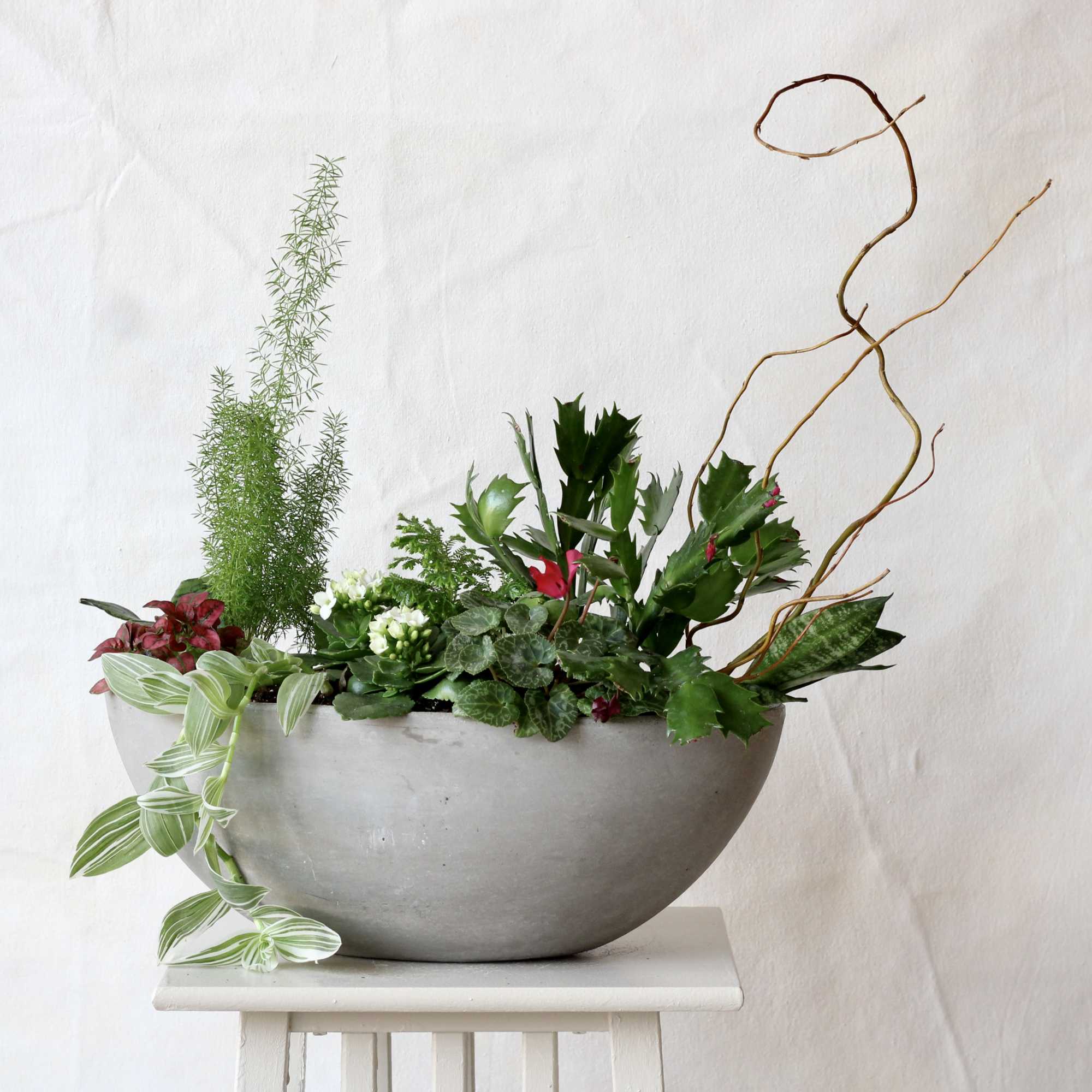 Mixed floral arrangement in a gray bowl planter with curly branches