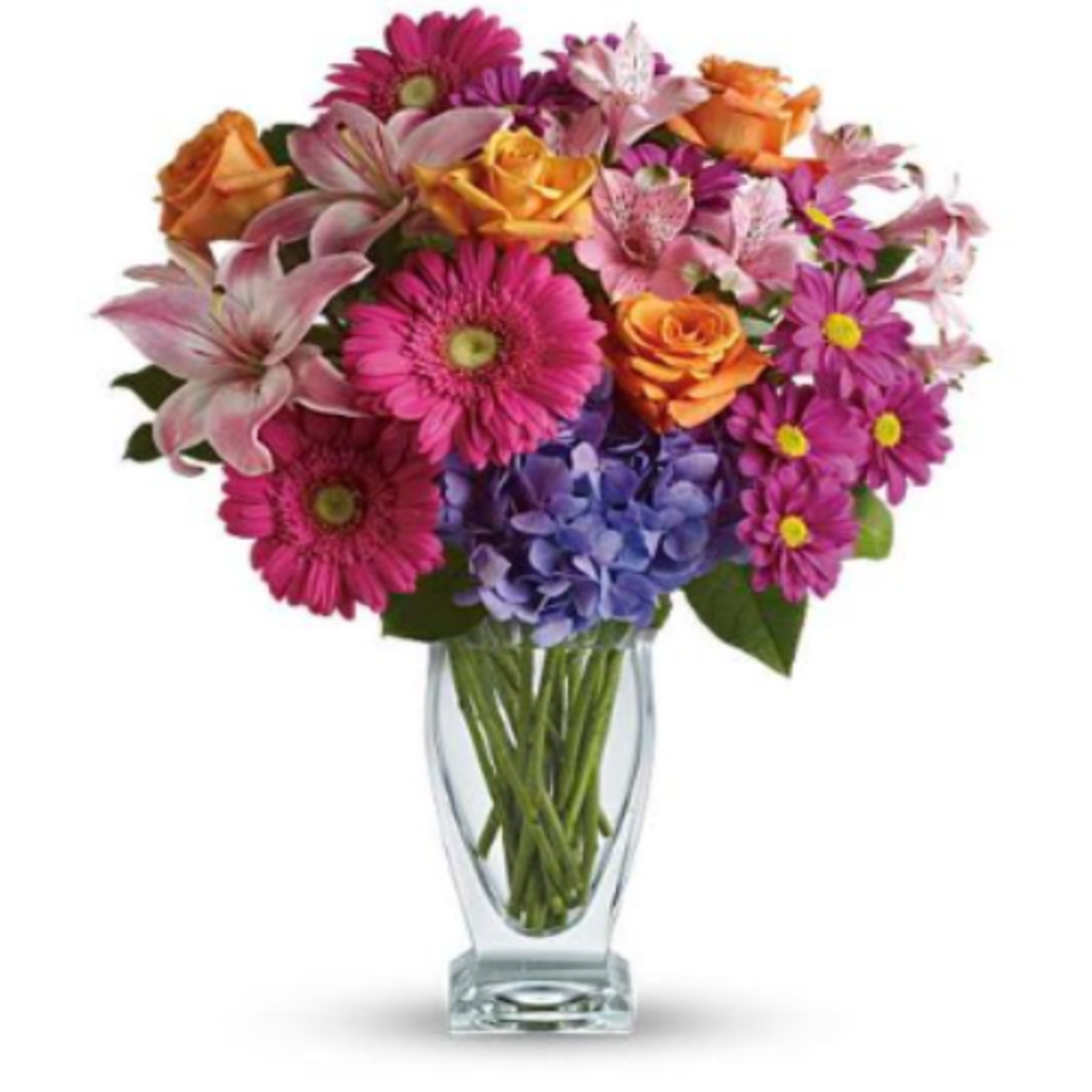 Pet Friendly?
No
This arrangement contains lilies and daisy-style mums, which are listed as