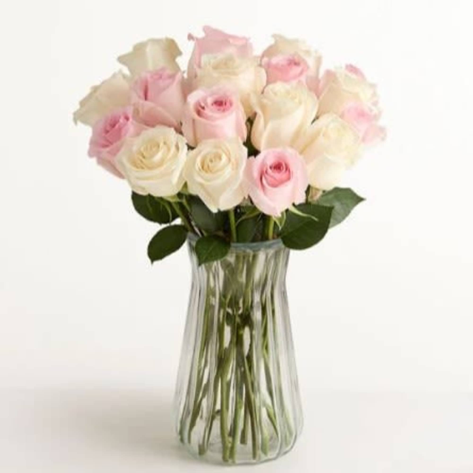  Pet Friendly?
Yes - According to ASPCA guidelines, Roses and Salal are