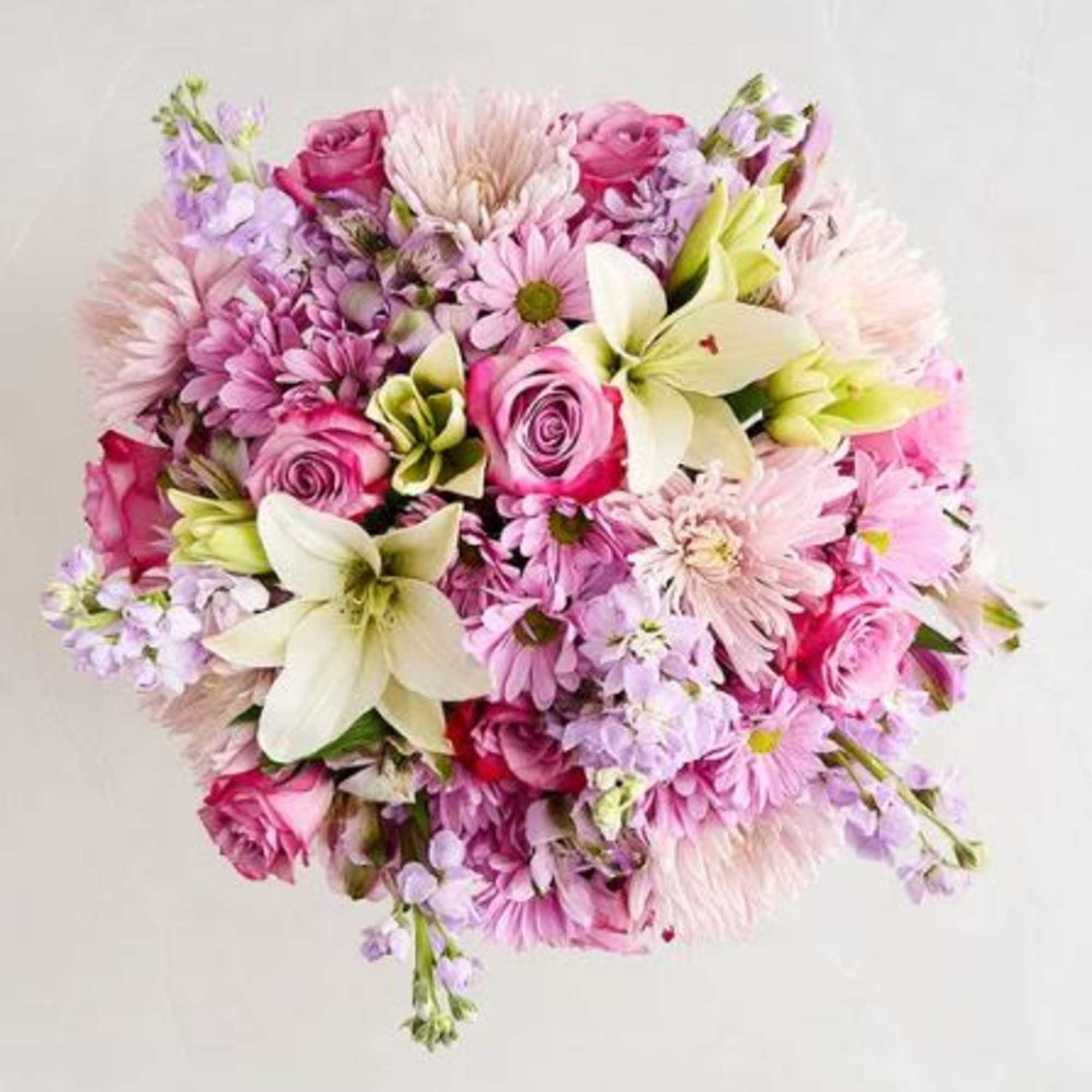  Pet Friendly?
No - This arrangement contains Oriental Lilies, which are highly
