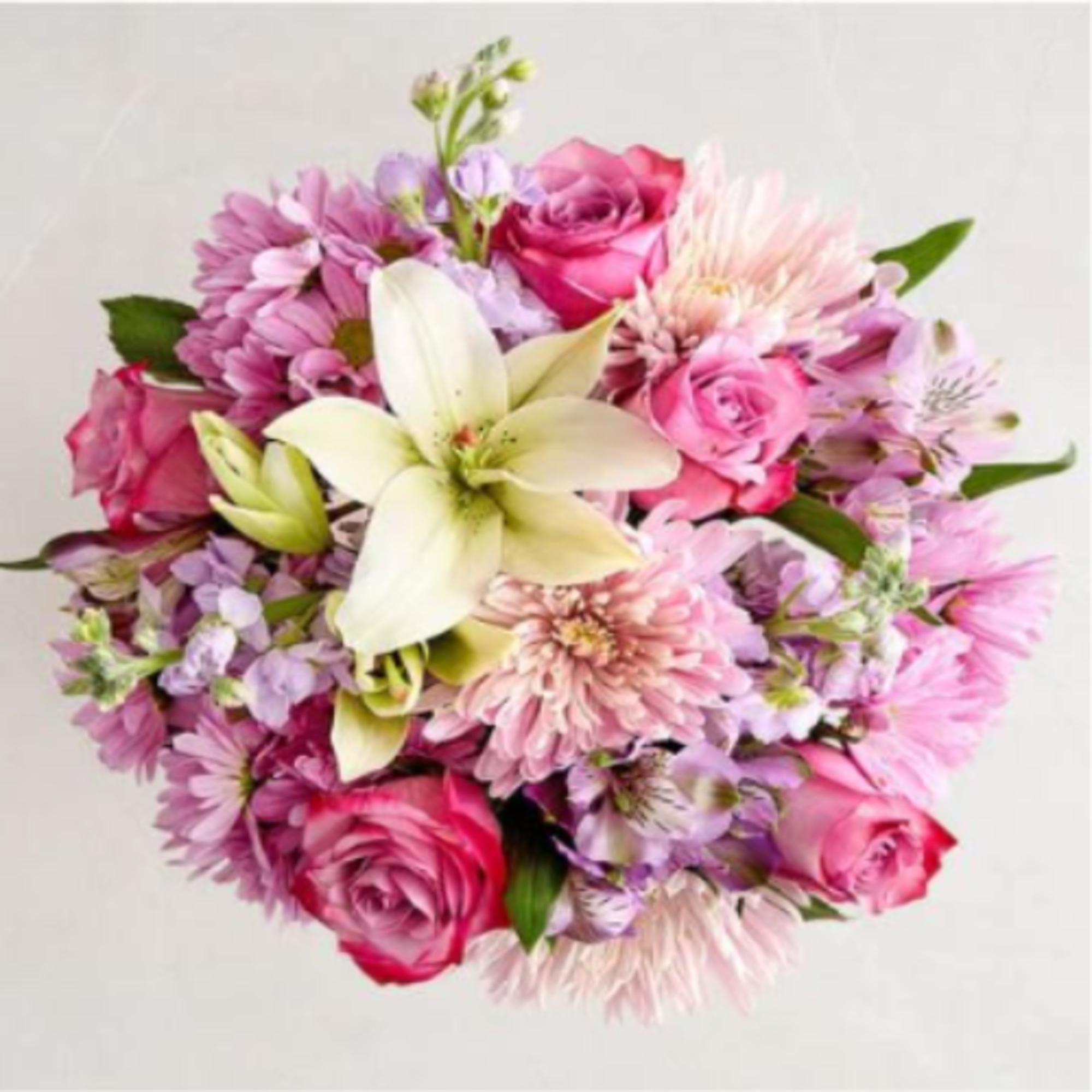  Pet Friendly?
No - This arrangement contains Oriental Lilies, which are highly