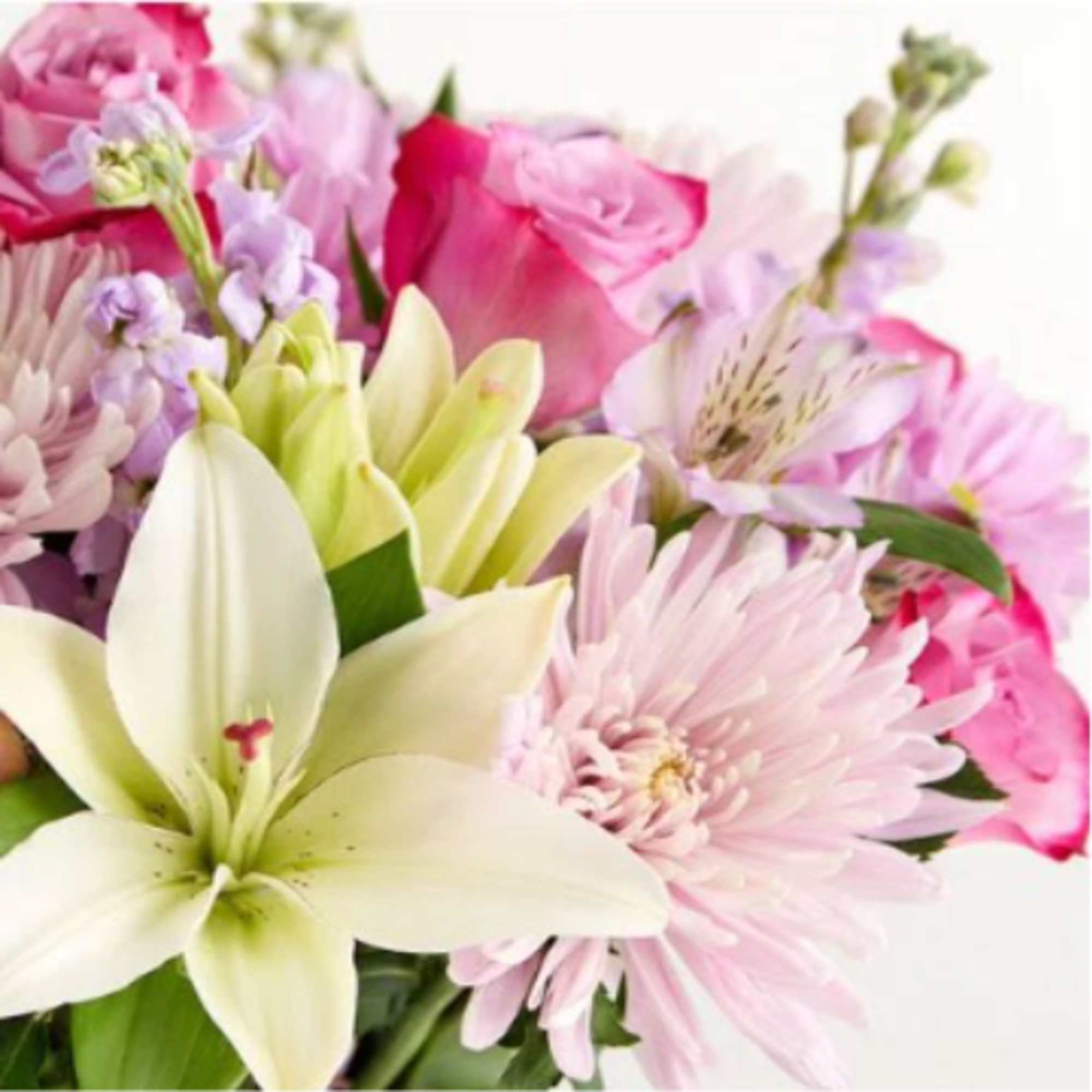  Pet Friendly?
No - This arrangement contains Oriental Lilies, which are highly