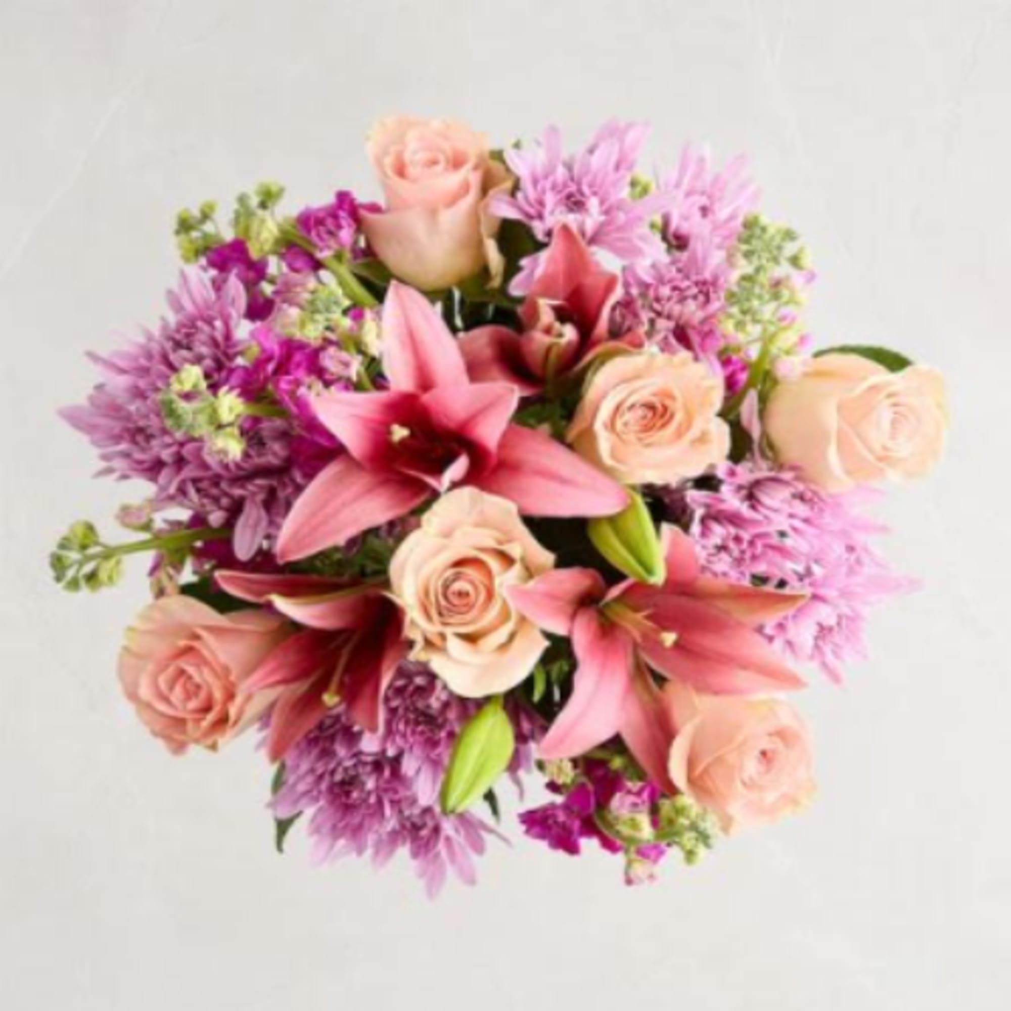 Pet Friendly?
No - This arrangement contains Lilies and Chrysanthemums, both of