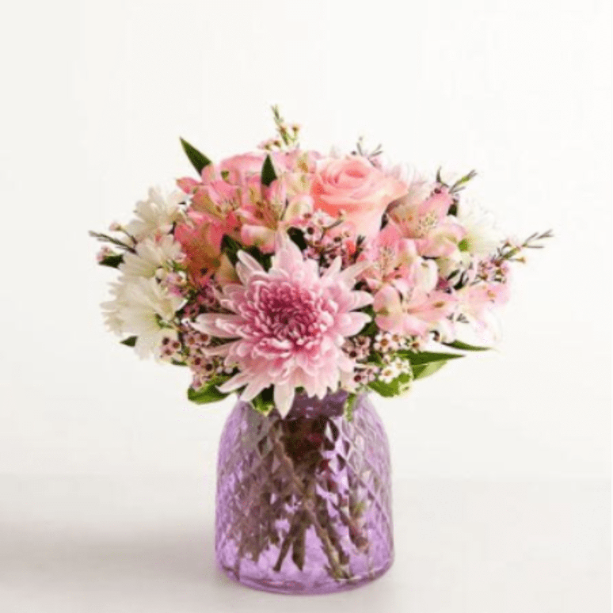  Pet Friendly?
No - This arrangement contains Chrysanthemums and Daisies, both of