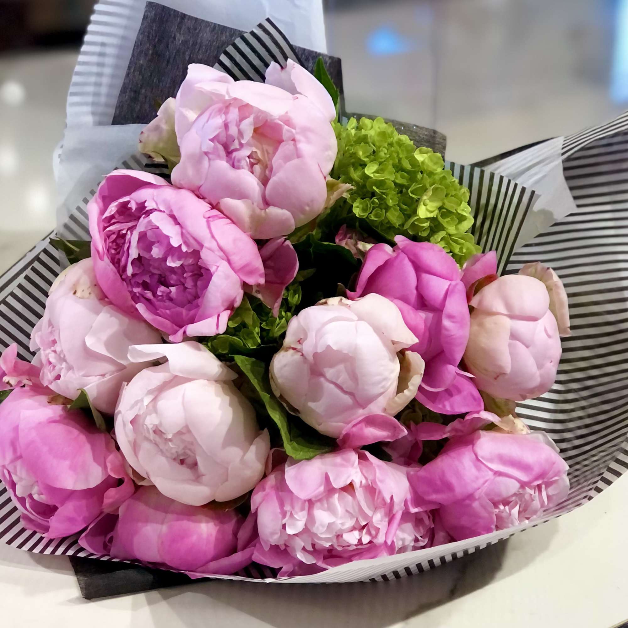 Bouquet of pink peonies with green hydrangea in striped wrap
