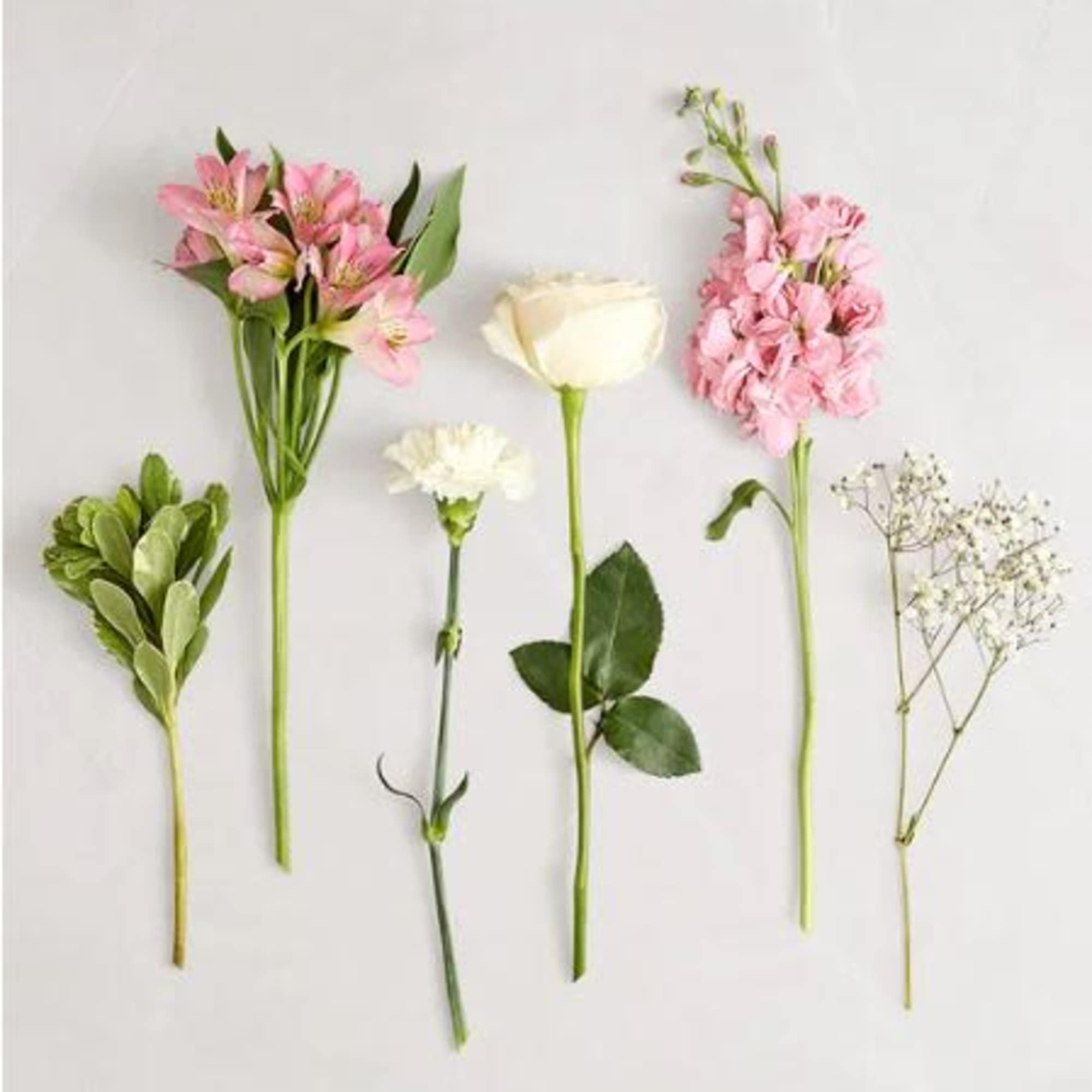  Pet Friendly?
NO .
Alstroemeria and Baby&rsquo;s Breath are considered mildly toxic to
