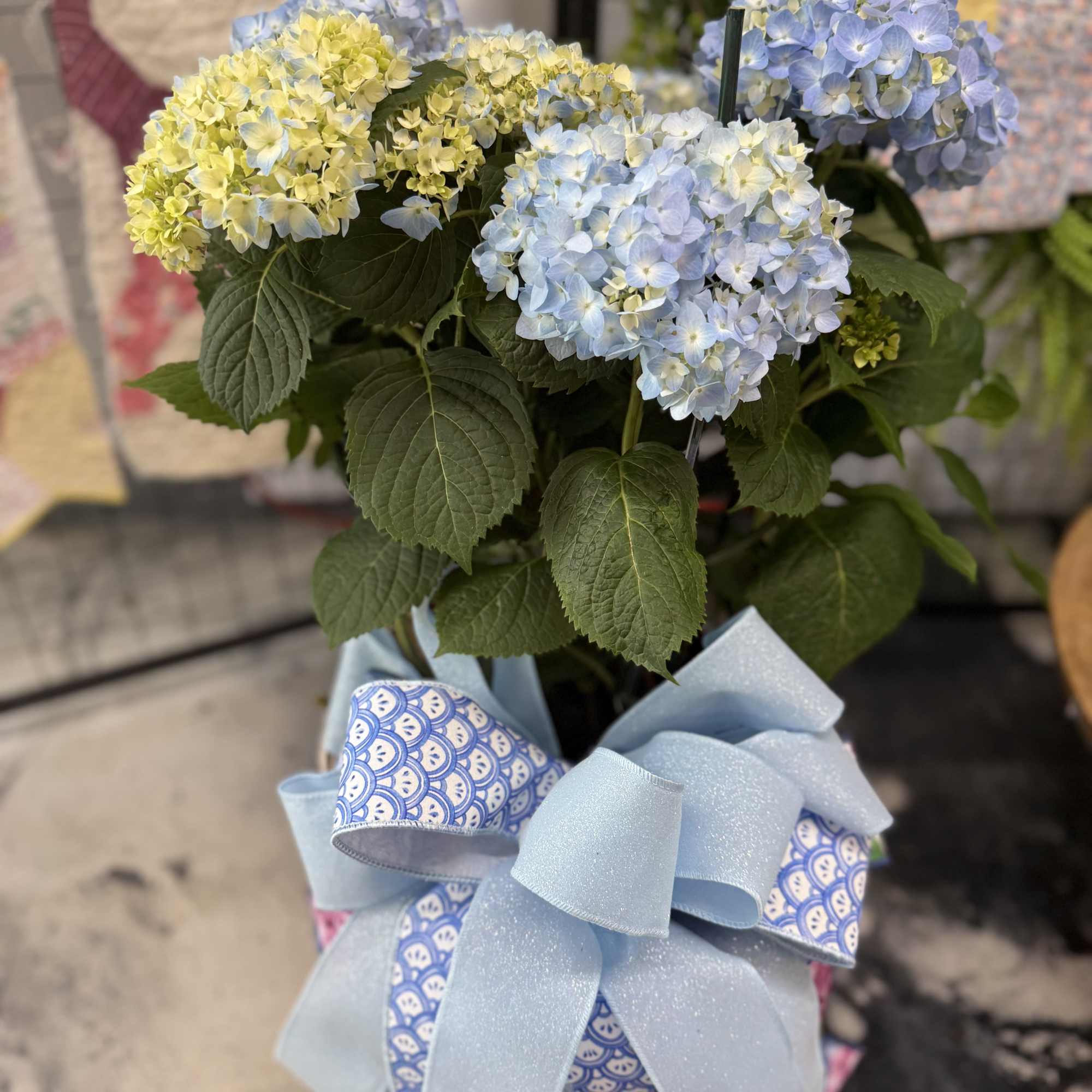 With its big, beautiful blooms, hydrangea signify perseverance and "thank you" Send