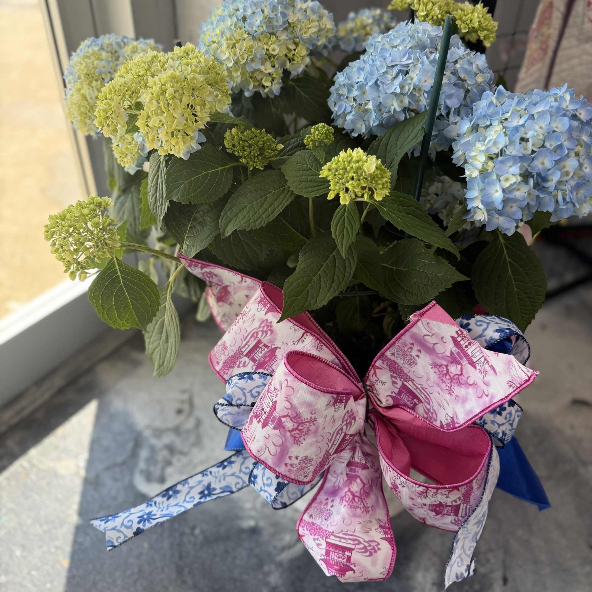 With its big, beautiful blooms, hydrangea signify perseverance and "thank you" Send