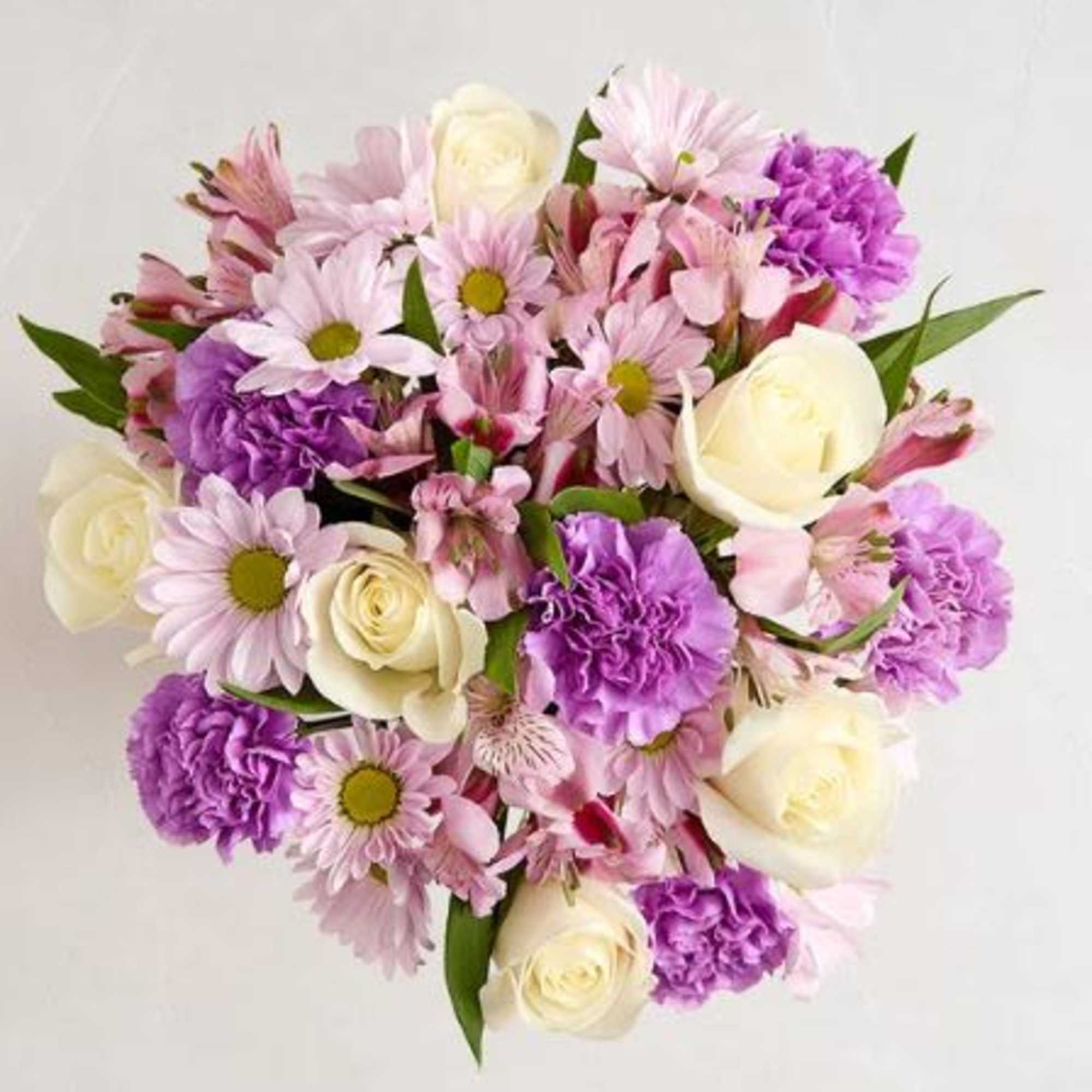  Pet Friendly?
NO - Chrysanthemums/daisies and carnations are listed by the ASPCA