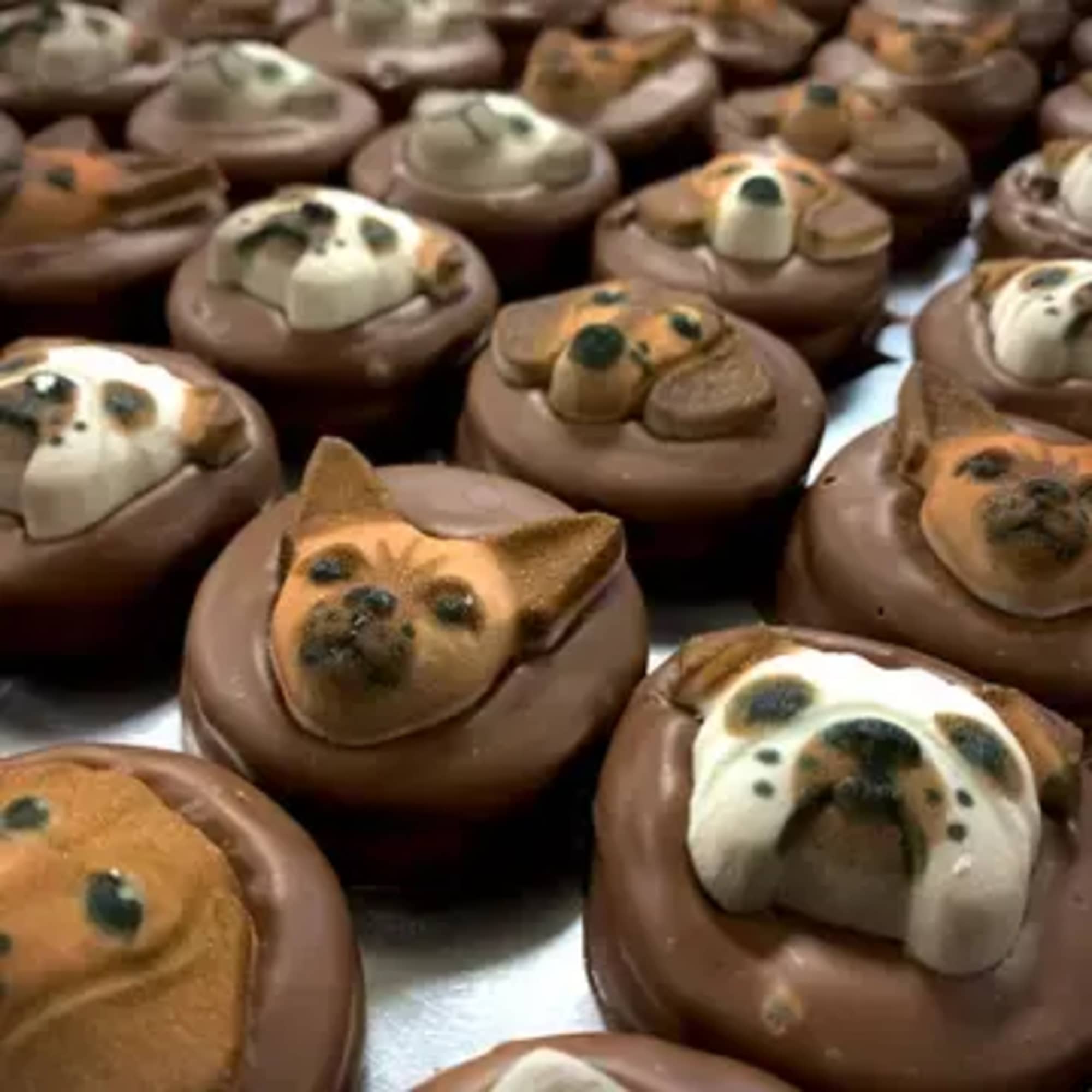 A playful pair of indulgent gifts, these Chocolate Covered Oreos 2 Pack